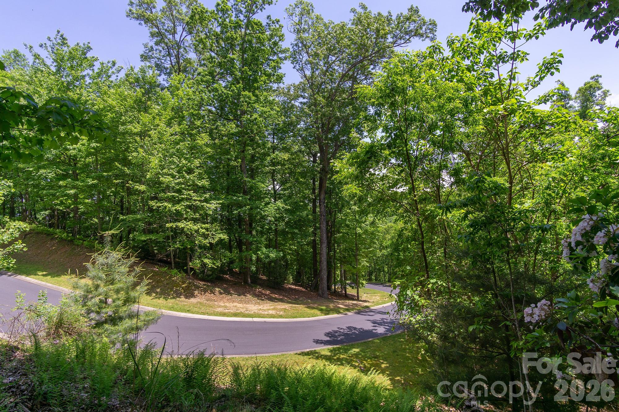 Lot at lot 53R Mills River Way, Horse Shoe, photo 31 of 33