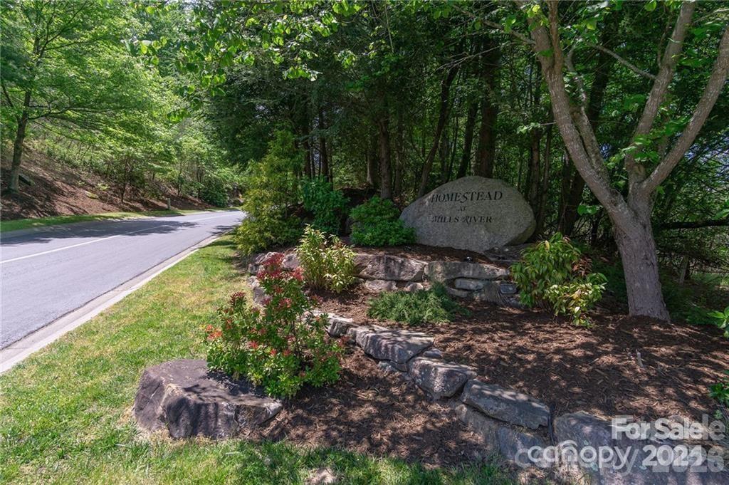 Homestead at Mills River is a gated community - lot 53R Mills River Way, Horse Shoe