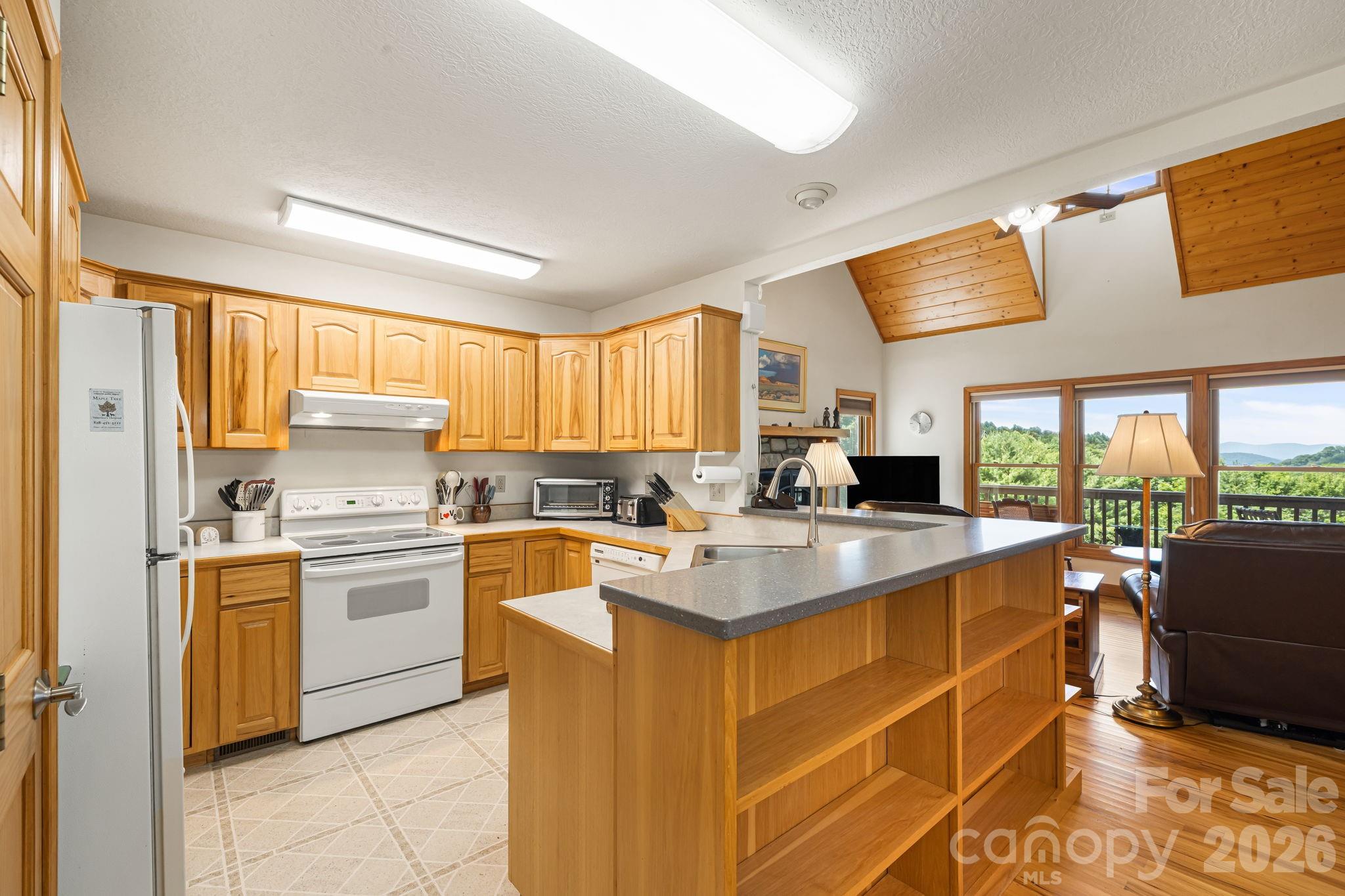 Single Family Residence at 299 Basswood Road, Hot Springs, photo 8 of 46