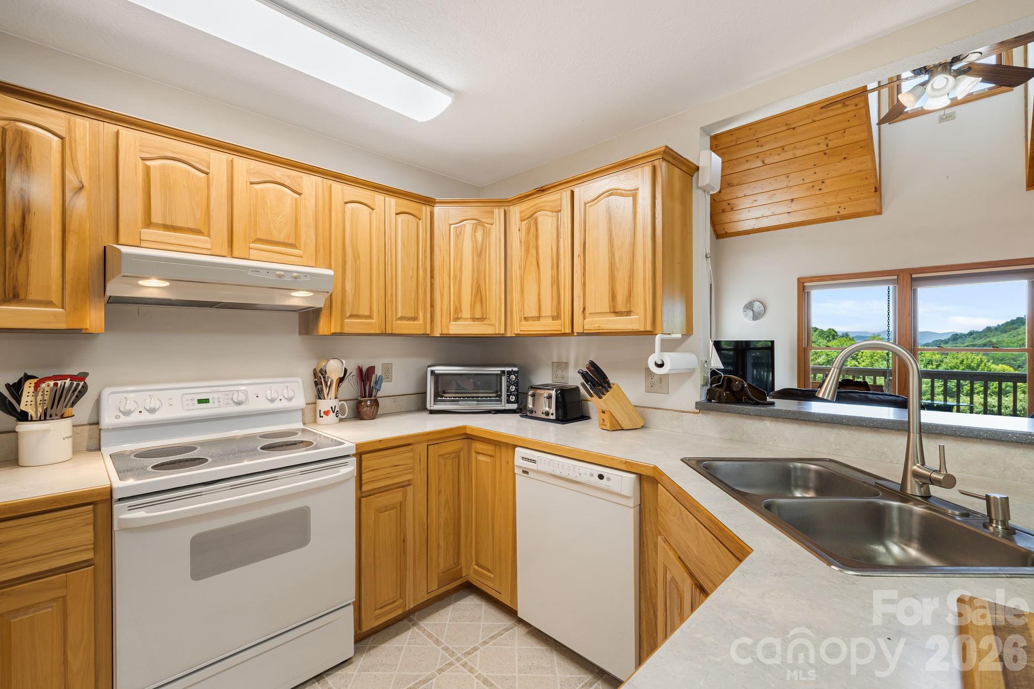Single Family Residence at 299 Basswood Road, Hot Springs, photo 9 of 46