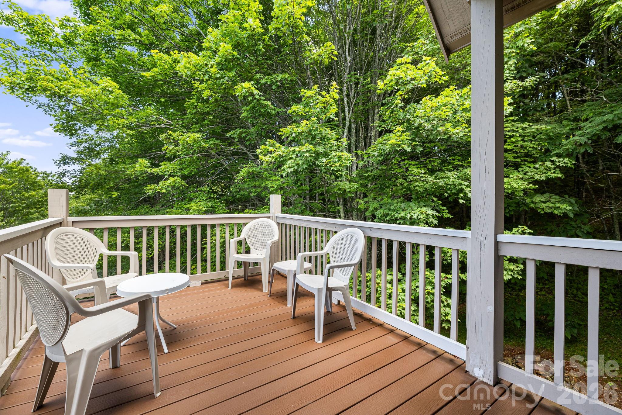 Single Family Residence at 299 Basswood Road, Hot Springs, photo 18 of 46