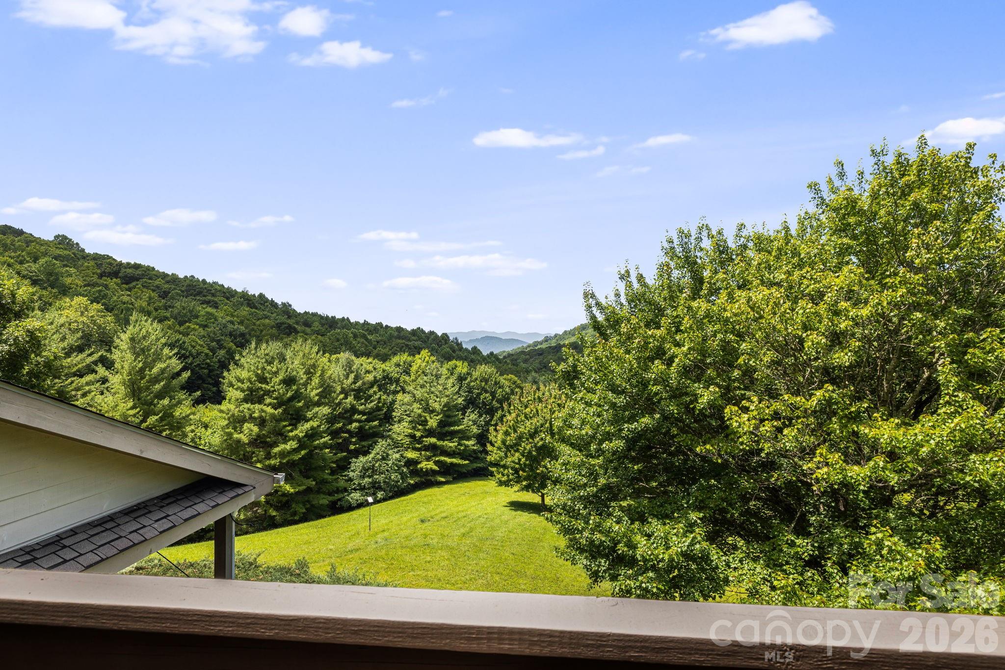 Single Family Residence at 299 Basswood Road, Hot Springs, photo 20 of 46