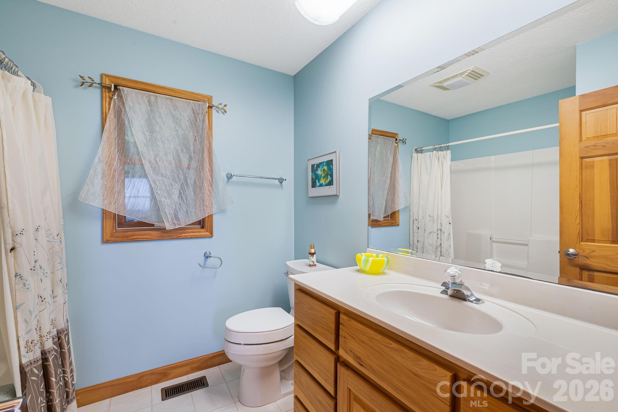 Guest Bath - 299 Basswood Road, Hot Springs