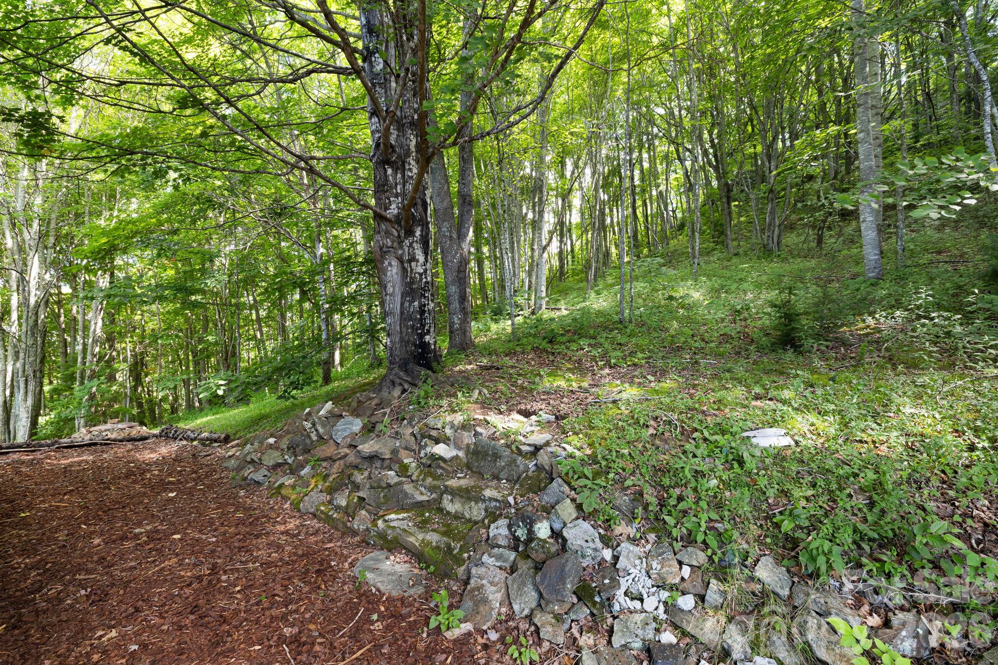 Private woods - 299 Basswood Road, Hot Springs