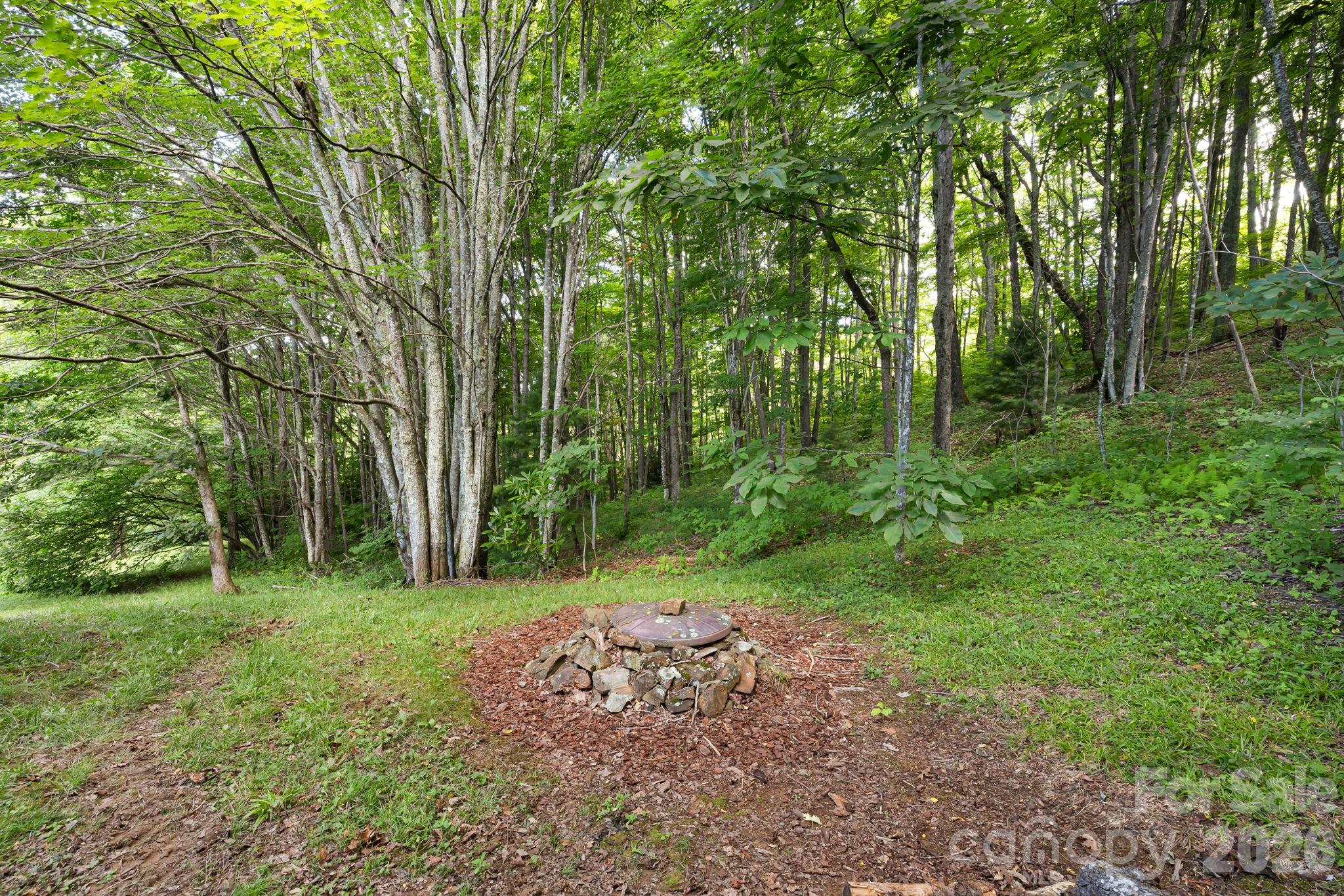 Back yard and woods - 299 Basswood Road, Hot Springs