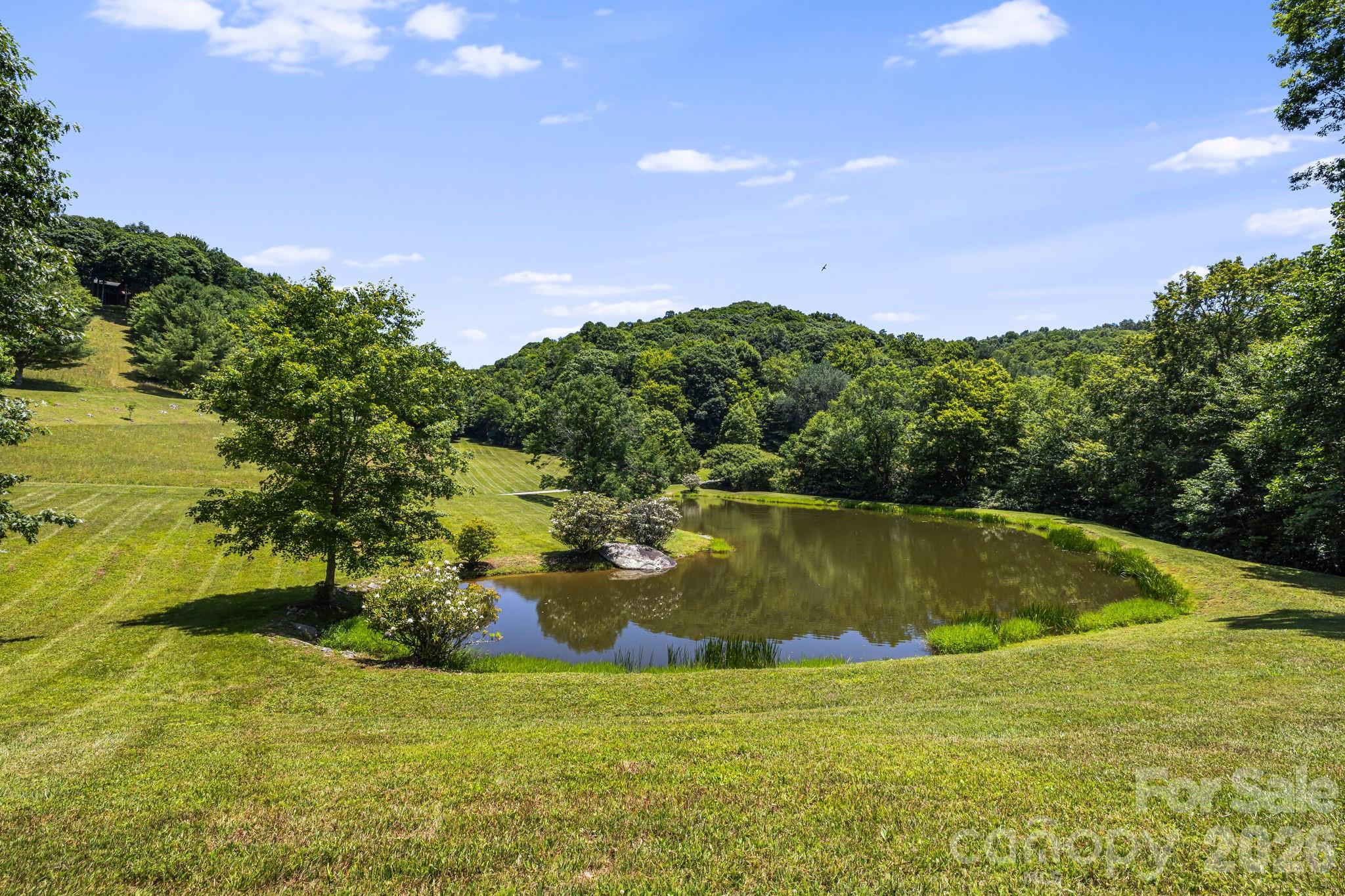 The fishing Pond - 299 Basswood Road, Hot Springs