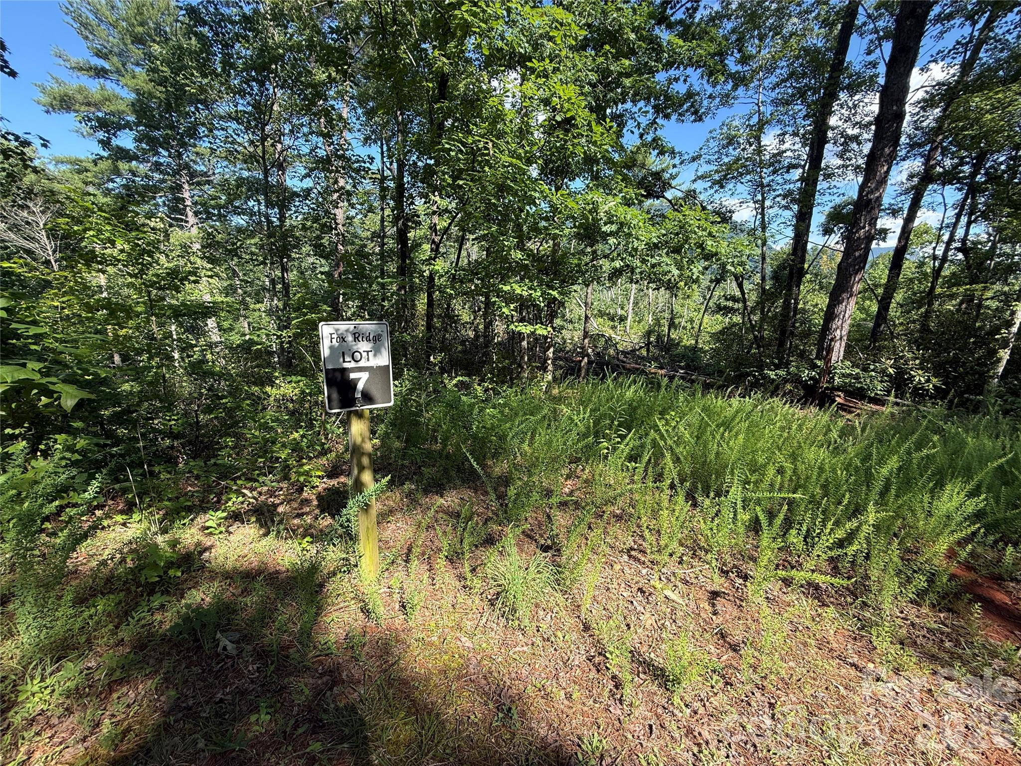 View of property from road - 999 Fox Ridge Trail, Marion
