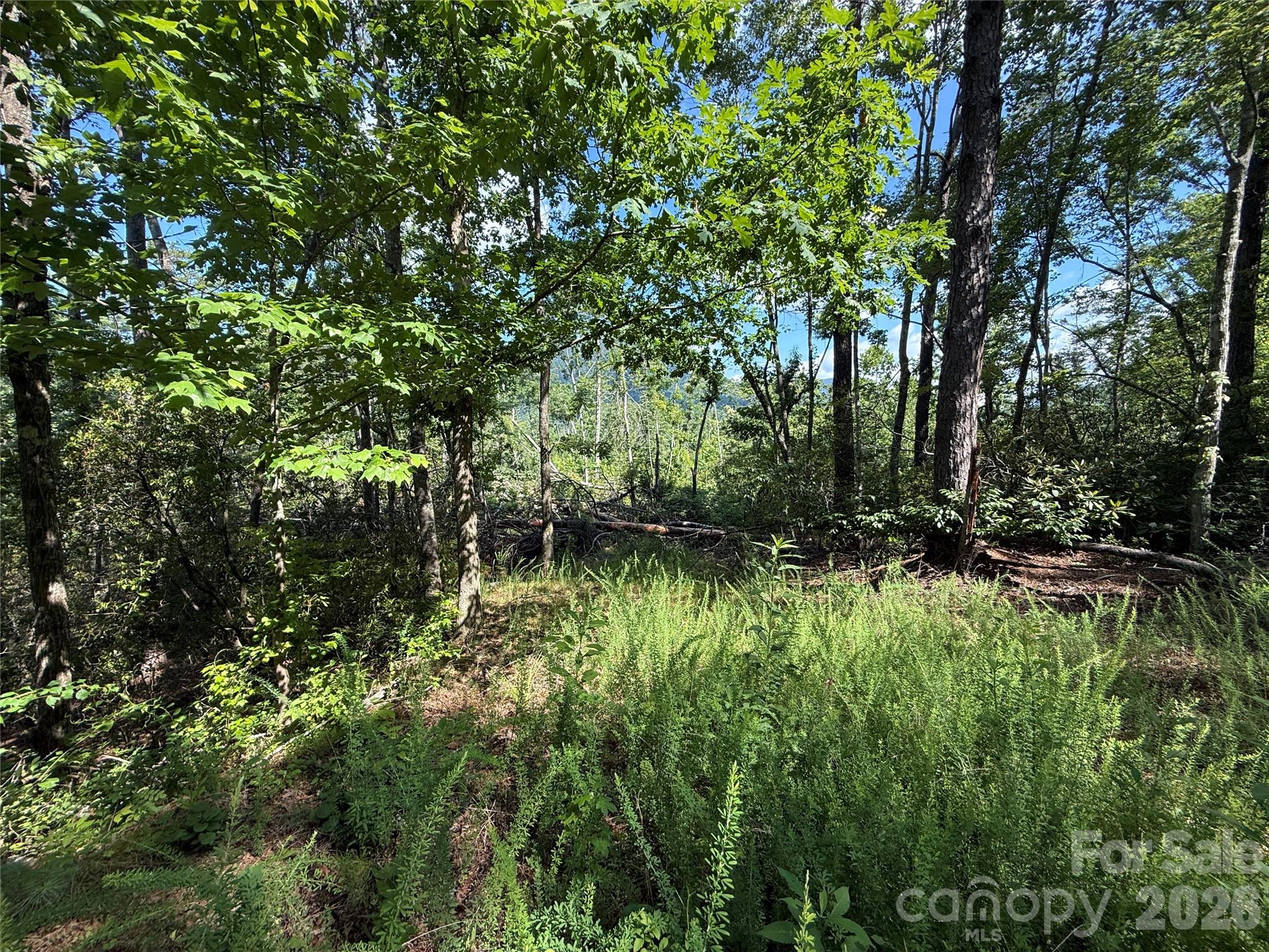 Winter Views - 999 Fox Ridge Trail, Marion