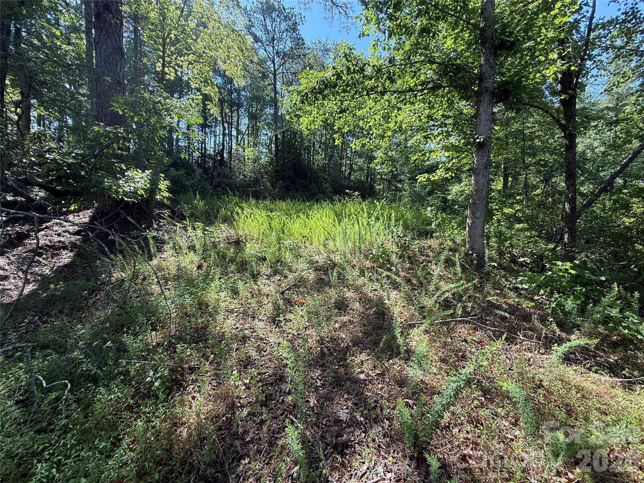 On Property looking back at road - 999 Fox Ridge Trail, Marion