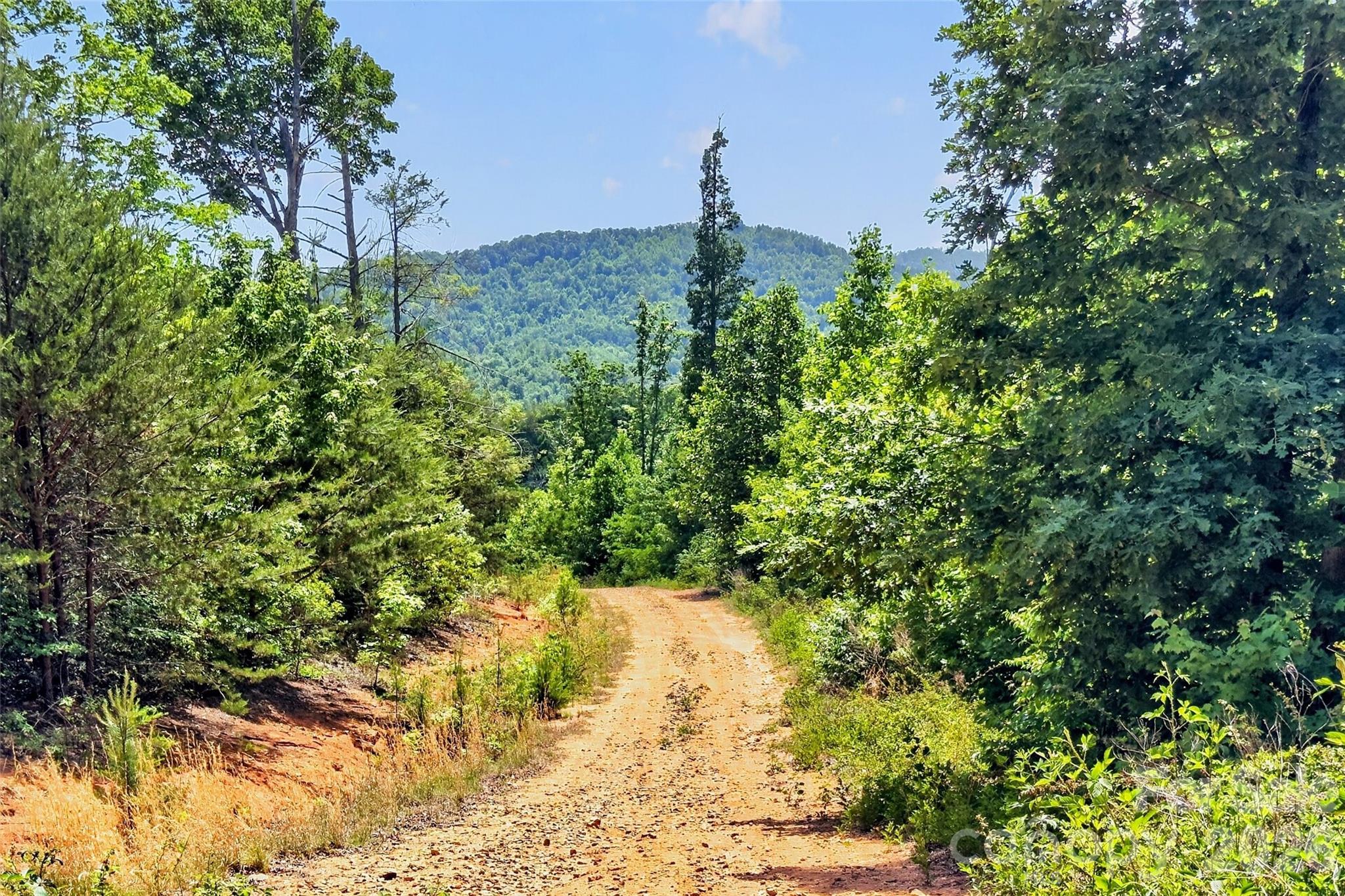 Acreage at 272 Randolph Drive, Marion, photo 3 of 19