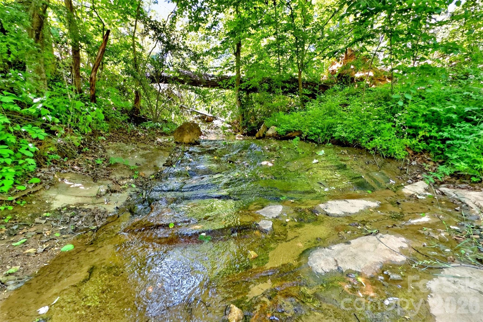 Acreage at 272 Randolph Drive, Marion, photo 11 of 19