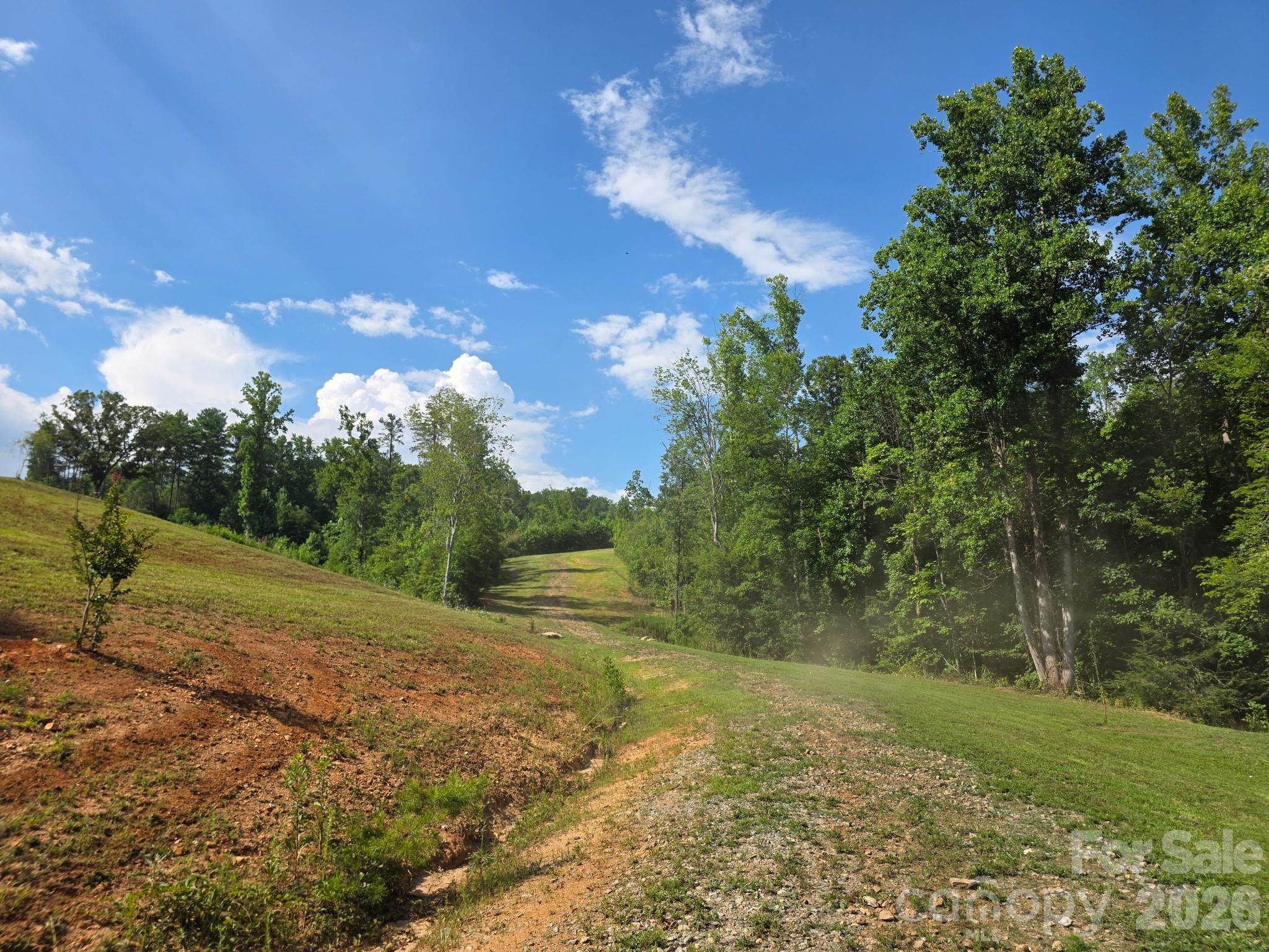 Acreage at 272 Randolph Drive, Marion, photo 17 of 19