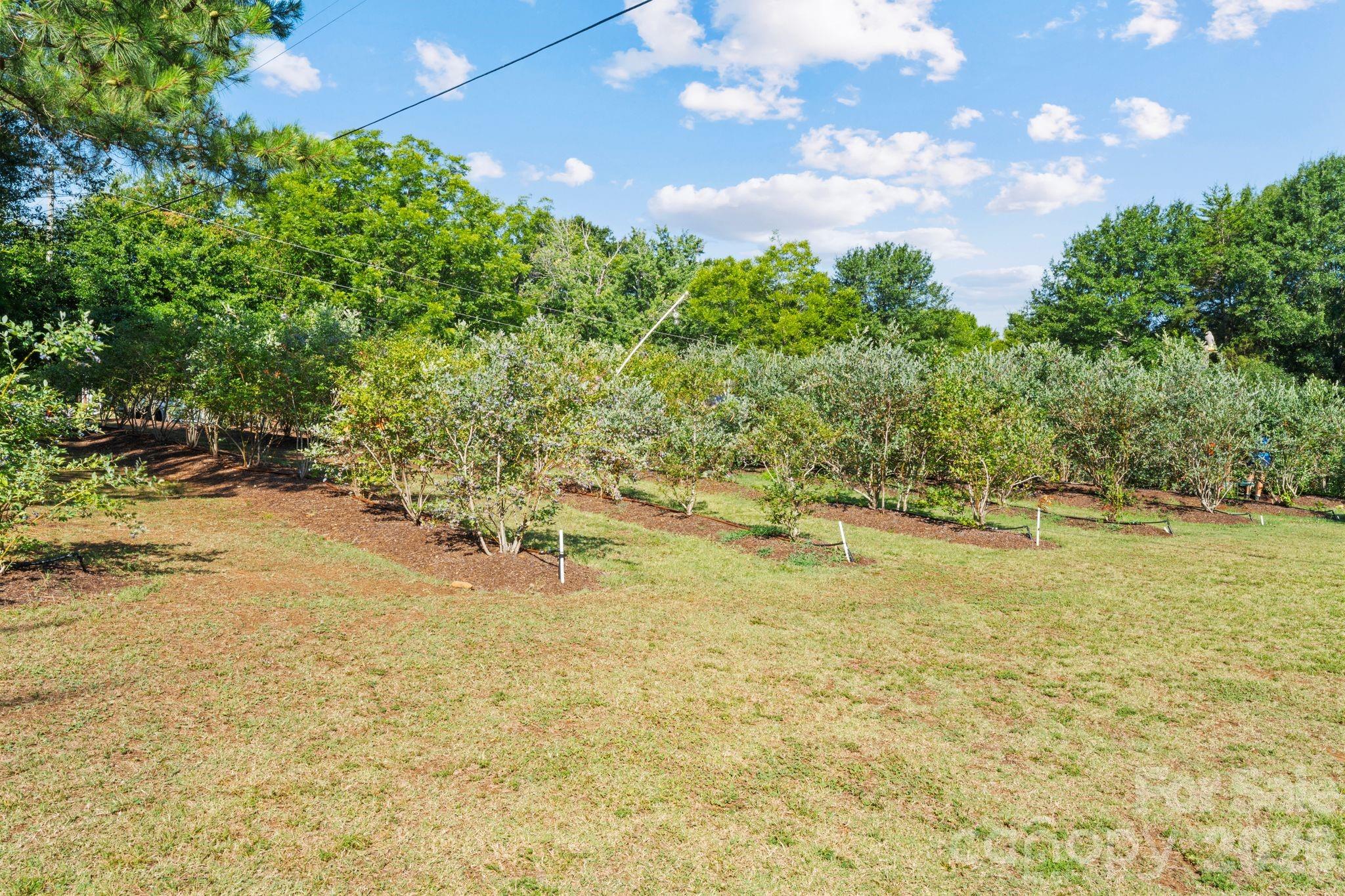 Single Family Residence at 1483 Hopewell Church Road, Catawba, photo 11 of 47