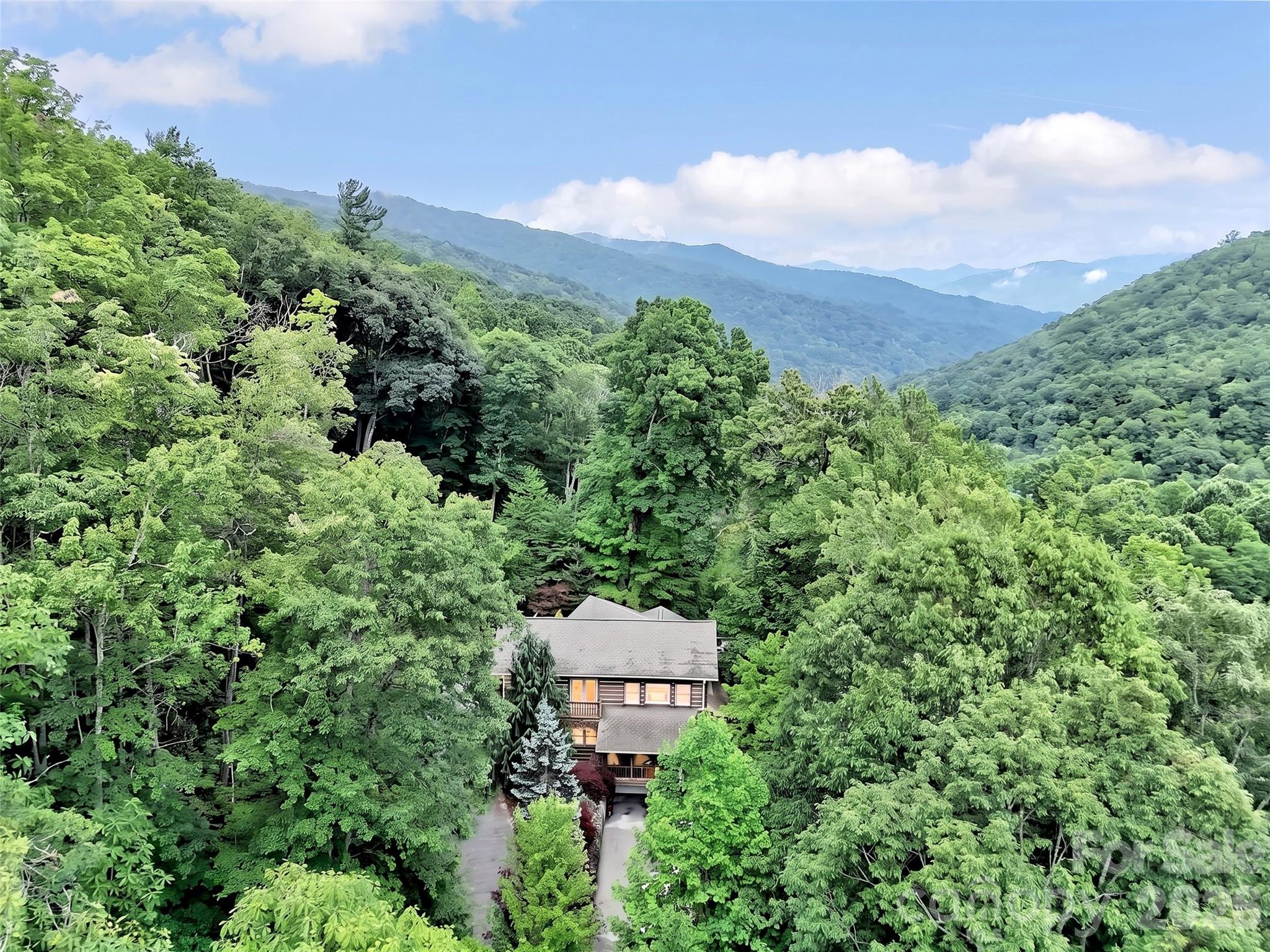 Single Family Residence at 3214 Big Laurel Road, Waynesville, photo 47 of 48