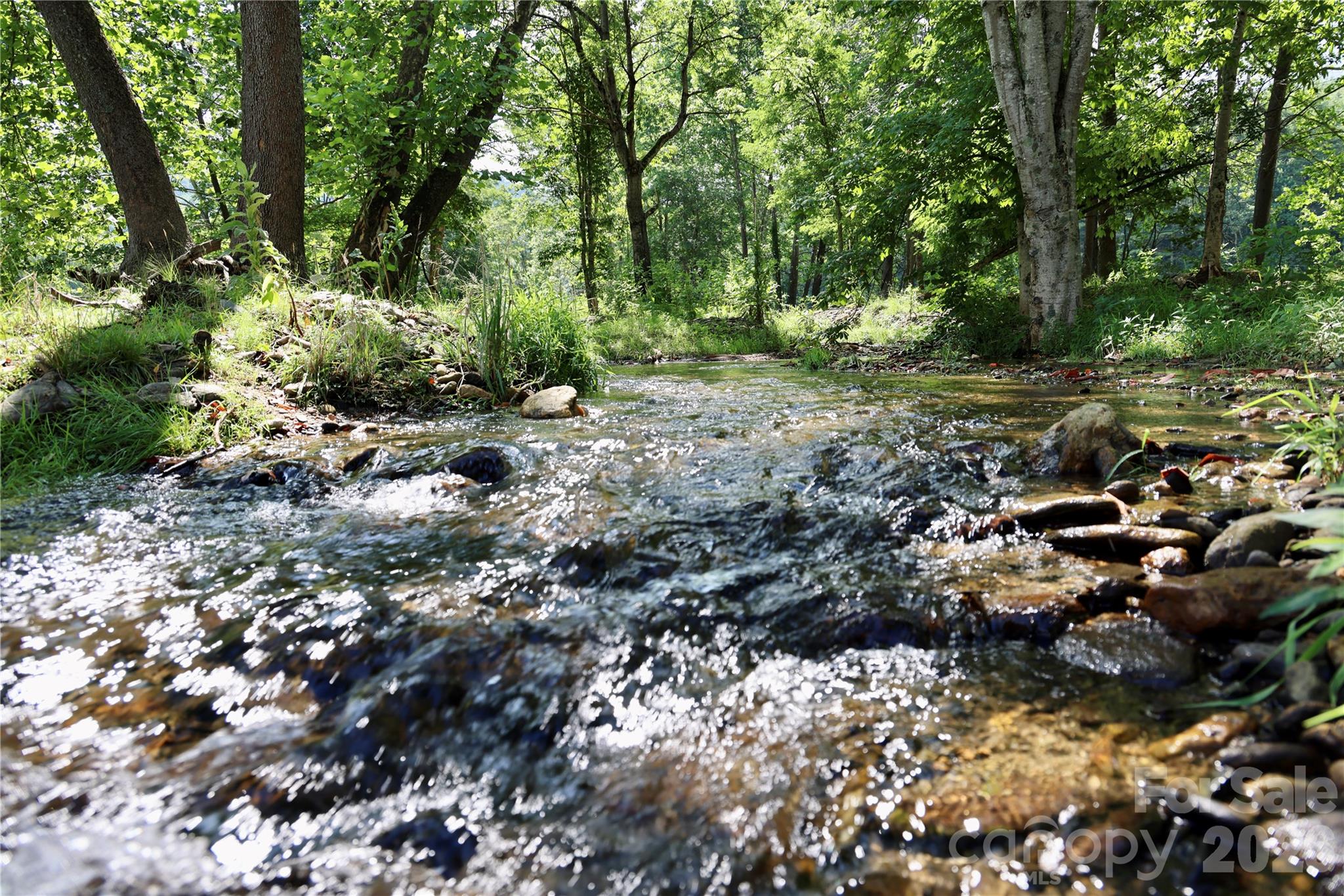 Noisy Bolens Creek - 793 State Highway 197 South, Burnsville