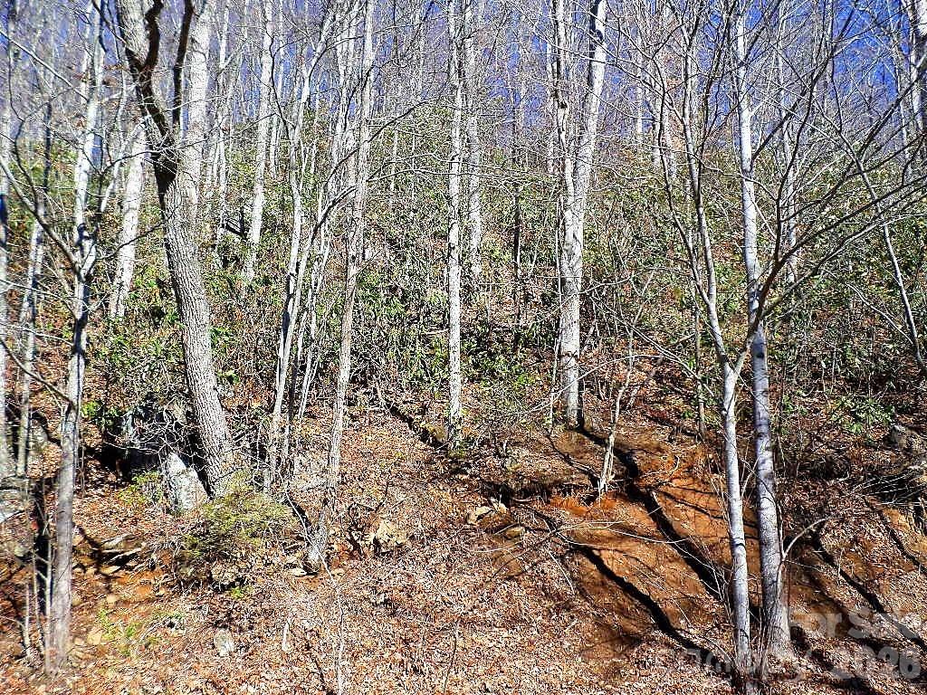 Lot at 350 Mountain View Drive, Maggie Valley, photo 9 of 21