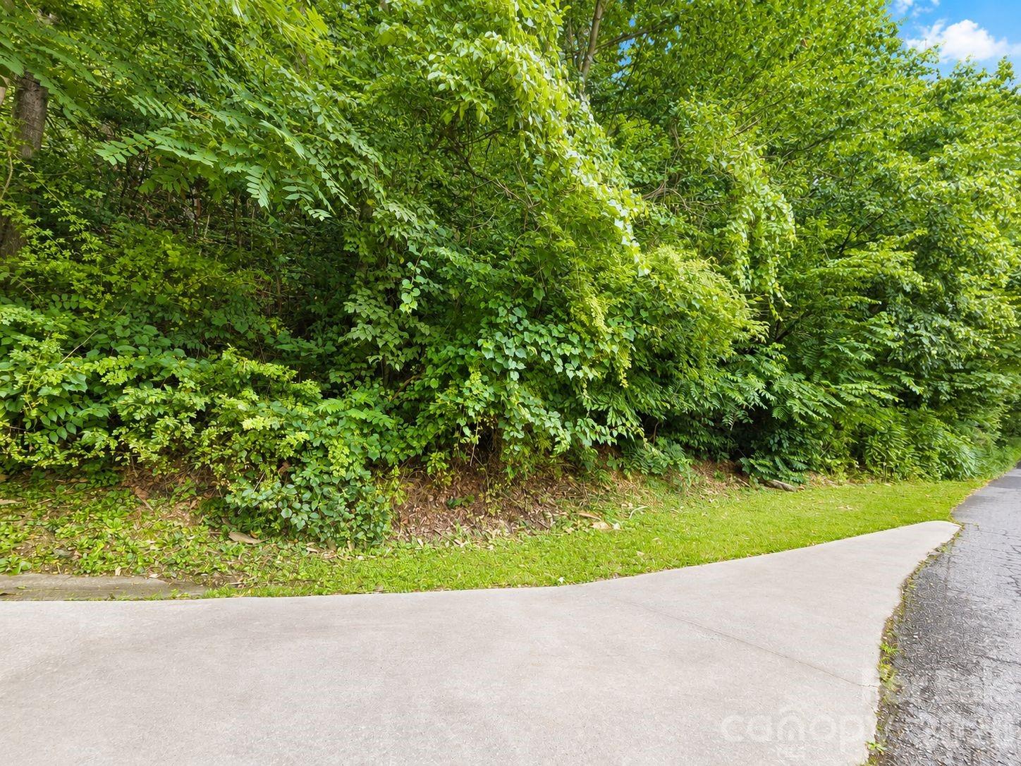 Lot at 350 Mountain View Drive, Maggie Valley, photo 3 of 21