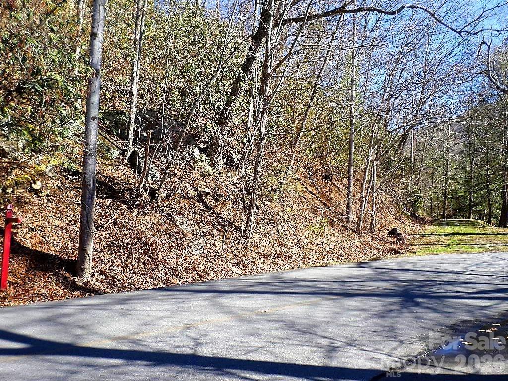 Lot at 350 Mountain View Drive, Maggie Valley, photo 2 of 21
