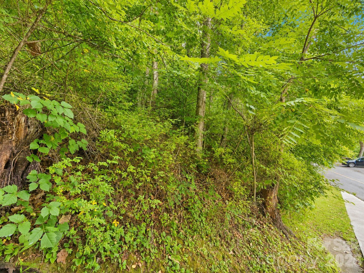 Lot at 350 Mountain View Drive, Maggie Valley, photo 10 of 21