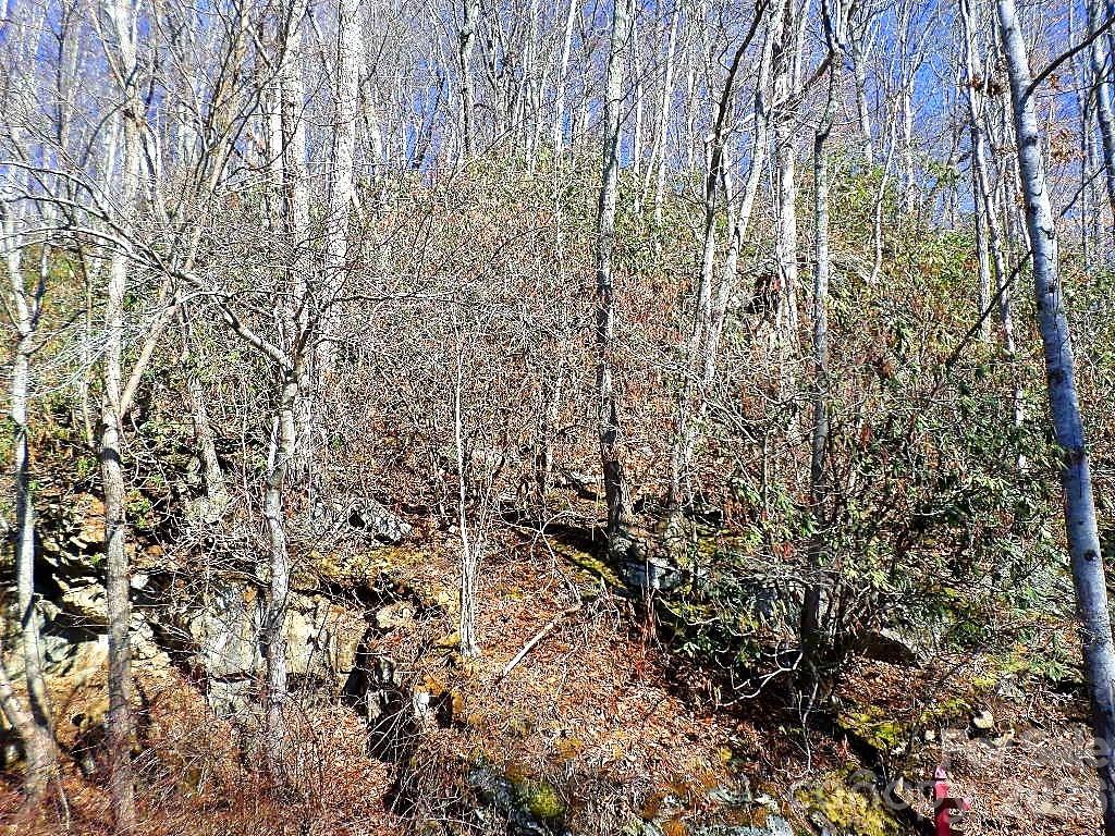 Lot at 350 Mountain View Drive, Maggie Valley, photo 11 of 21