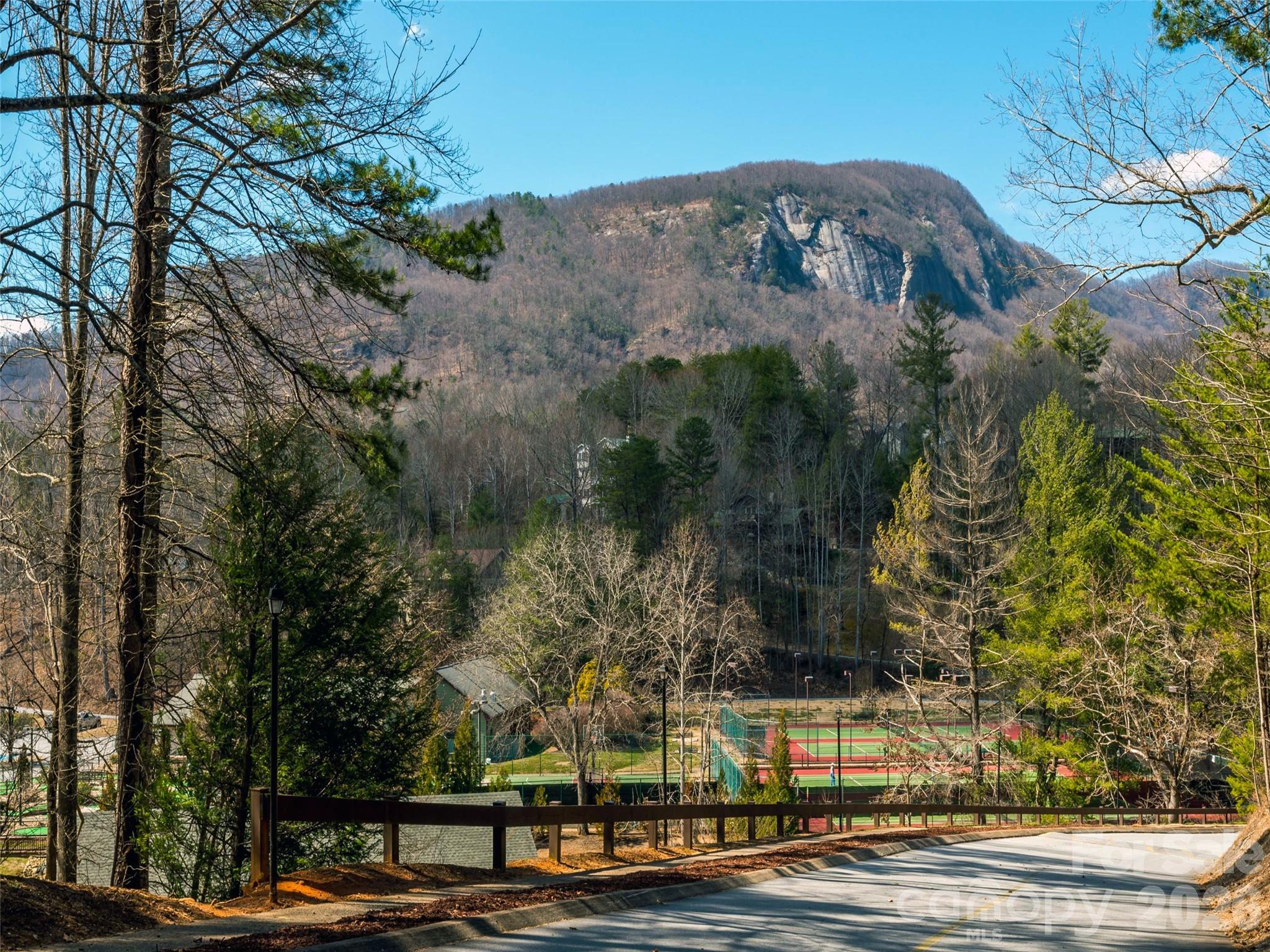 Rumbling Bald On Lake Lure Amenities - 0 Waterside Drive, Lake Lure