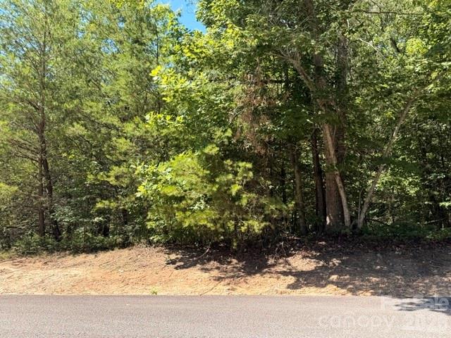 Lot at 00 Panorama Drive, Nebo, photo 4 of 5