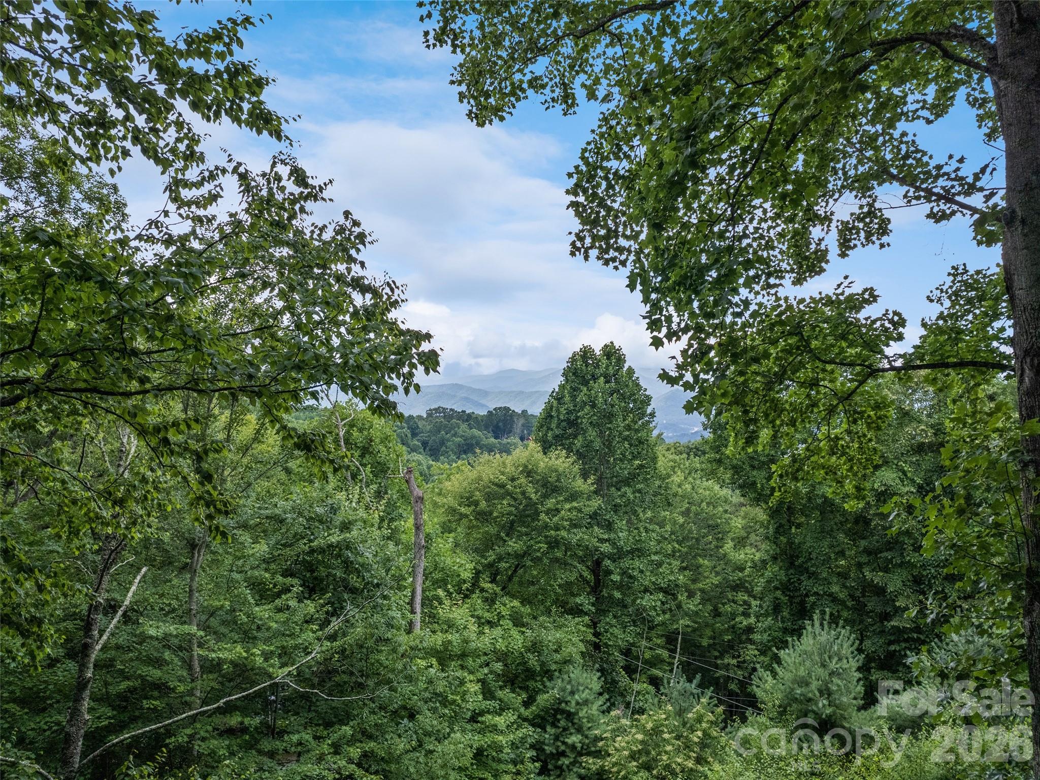 Single Family Residence at 80 Merrie Way, Waynesville, photo 29 of 48