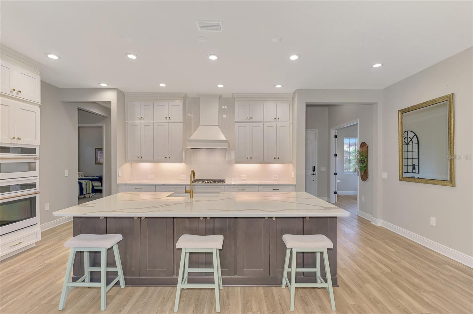 Large Island - 12365 VIESTE CT, VENICE