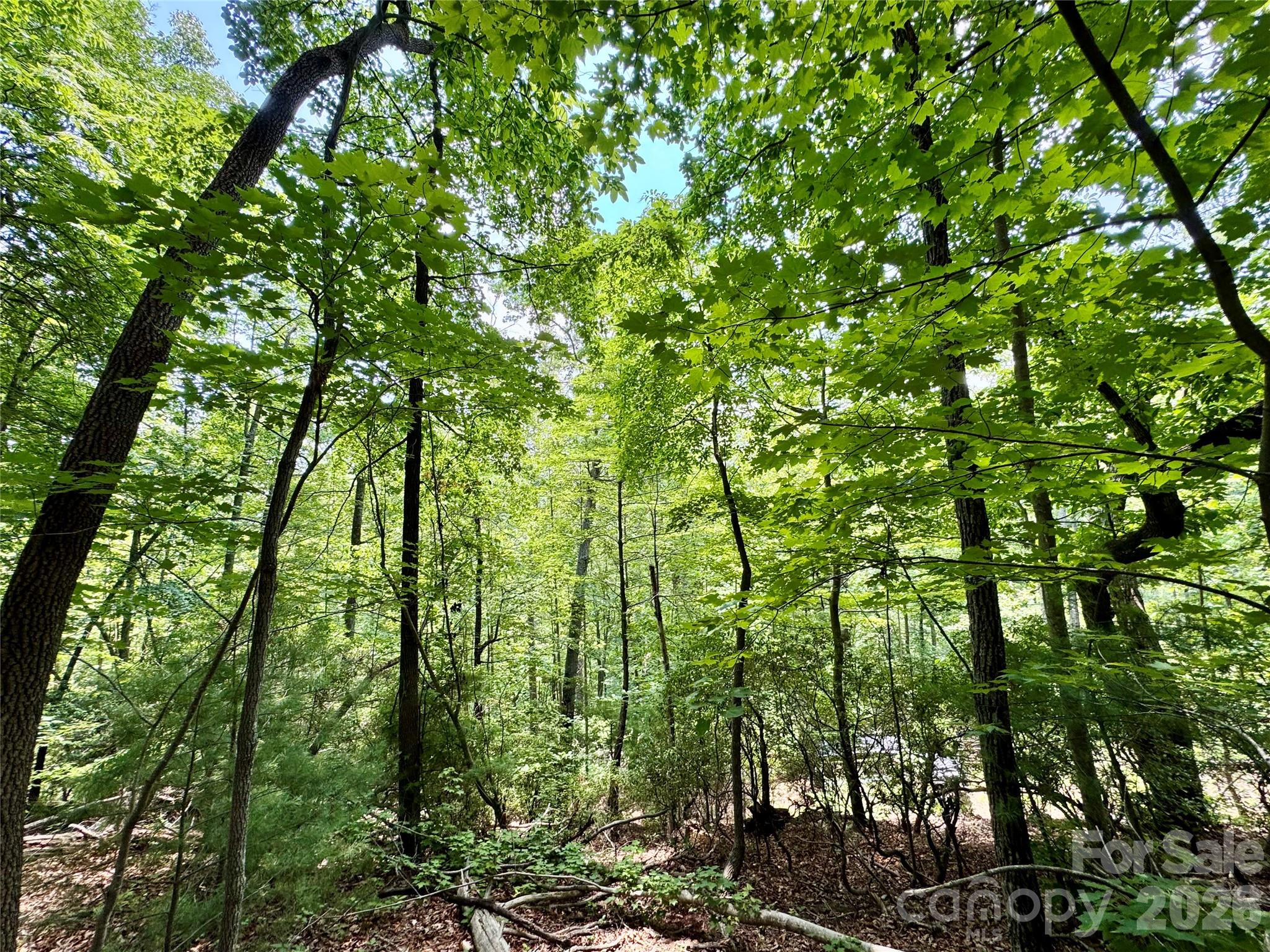 Lot 23 Bear Track Lane