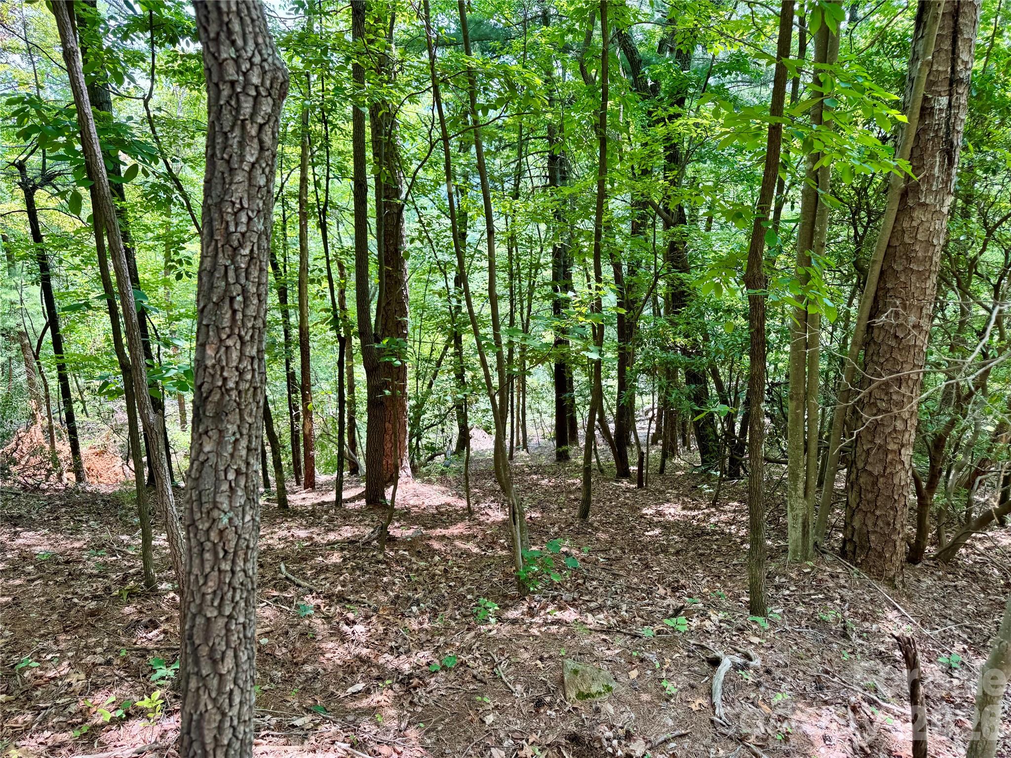Lot at Lot 23 Bear Track Lane, Lenoir, photo 6 of 23