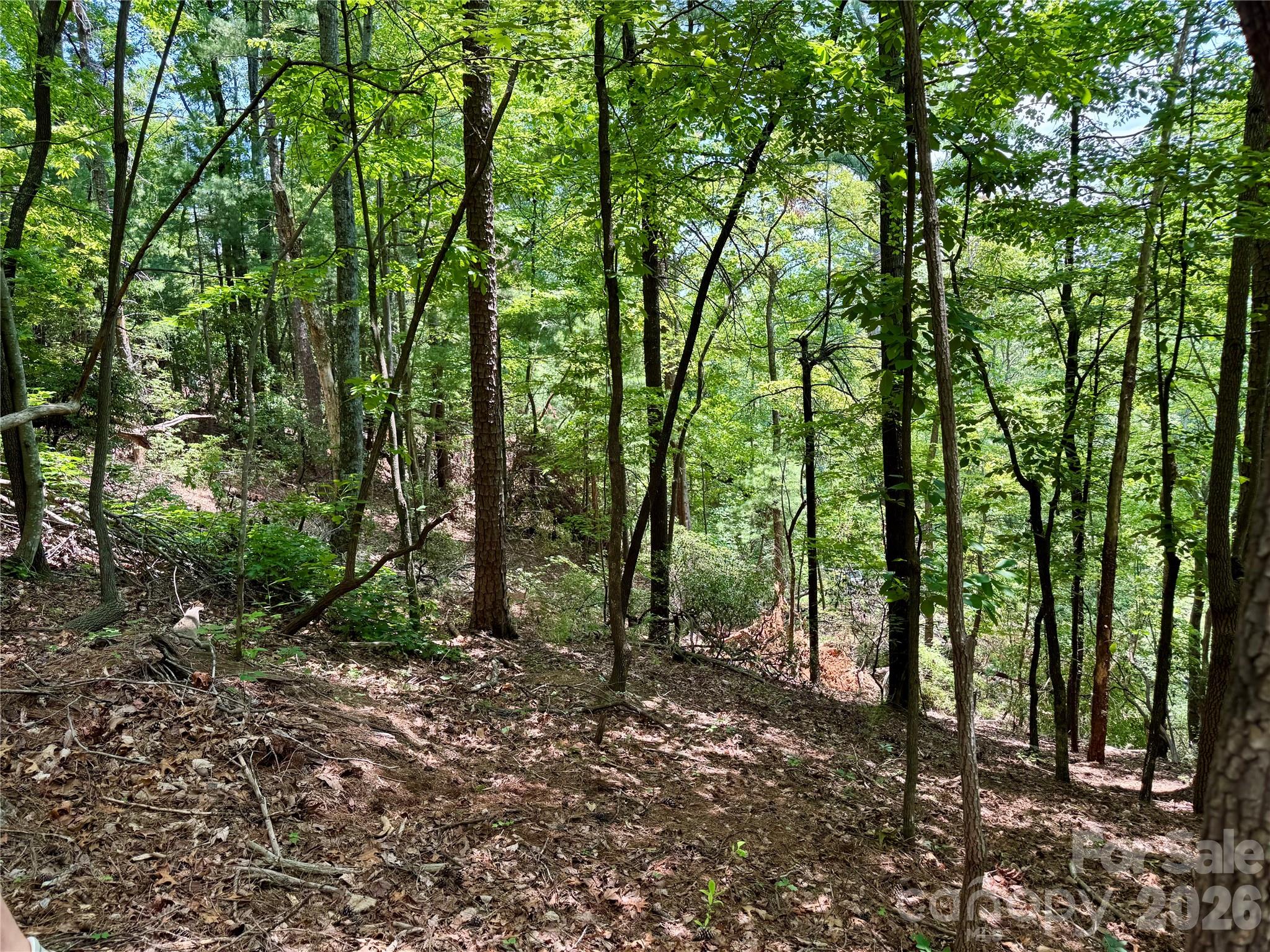 Lot at Lot 23 Bear Track Lane, Lenoir, photo 7 of 23
