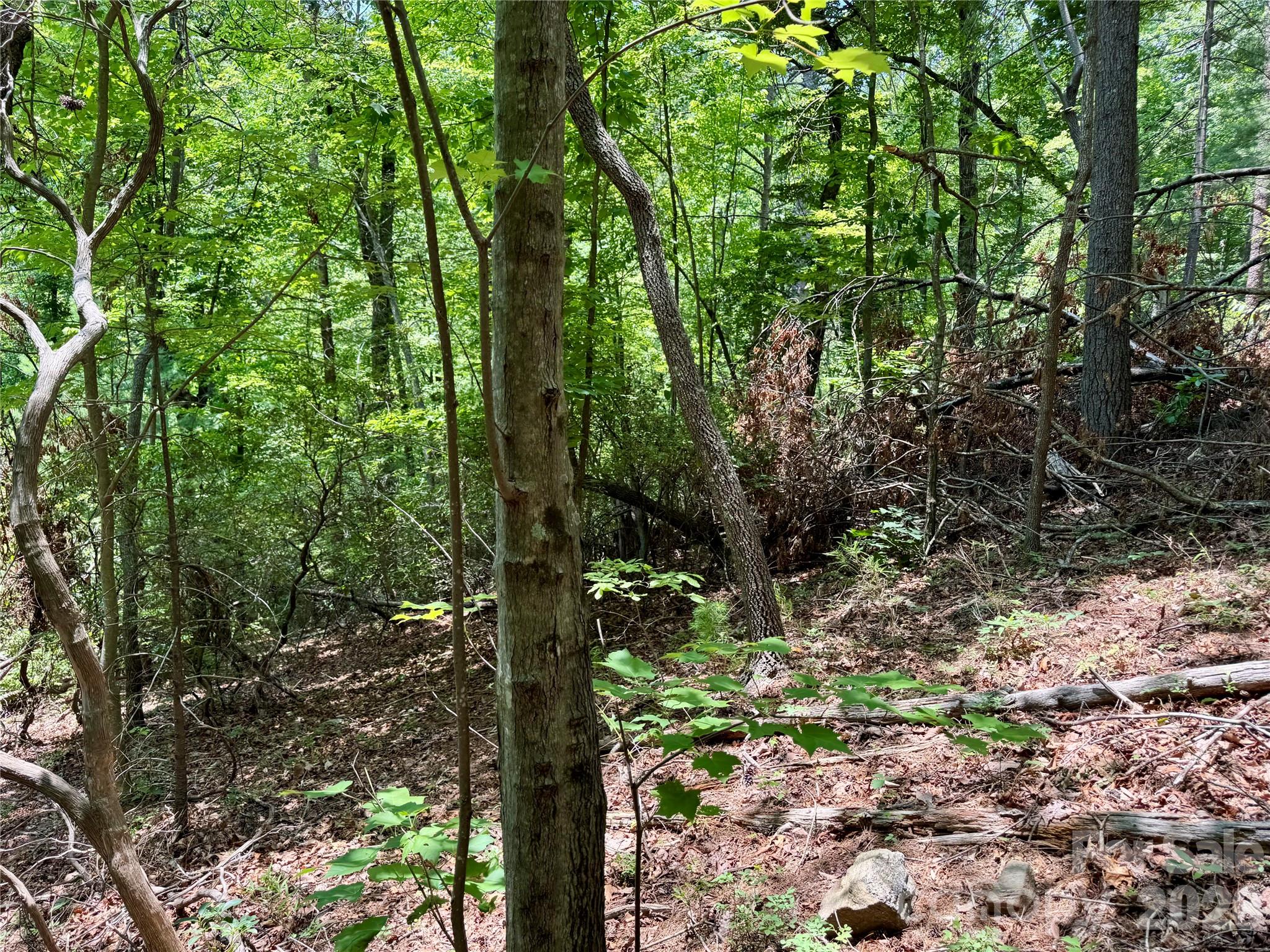 Lot at Lot 23 Bear Track Lane, Lenoir, photo 8 of 23