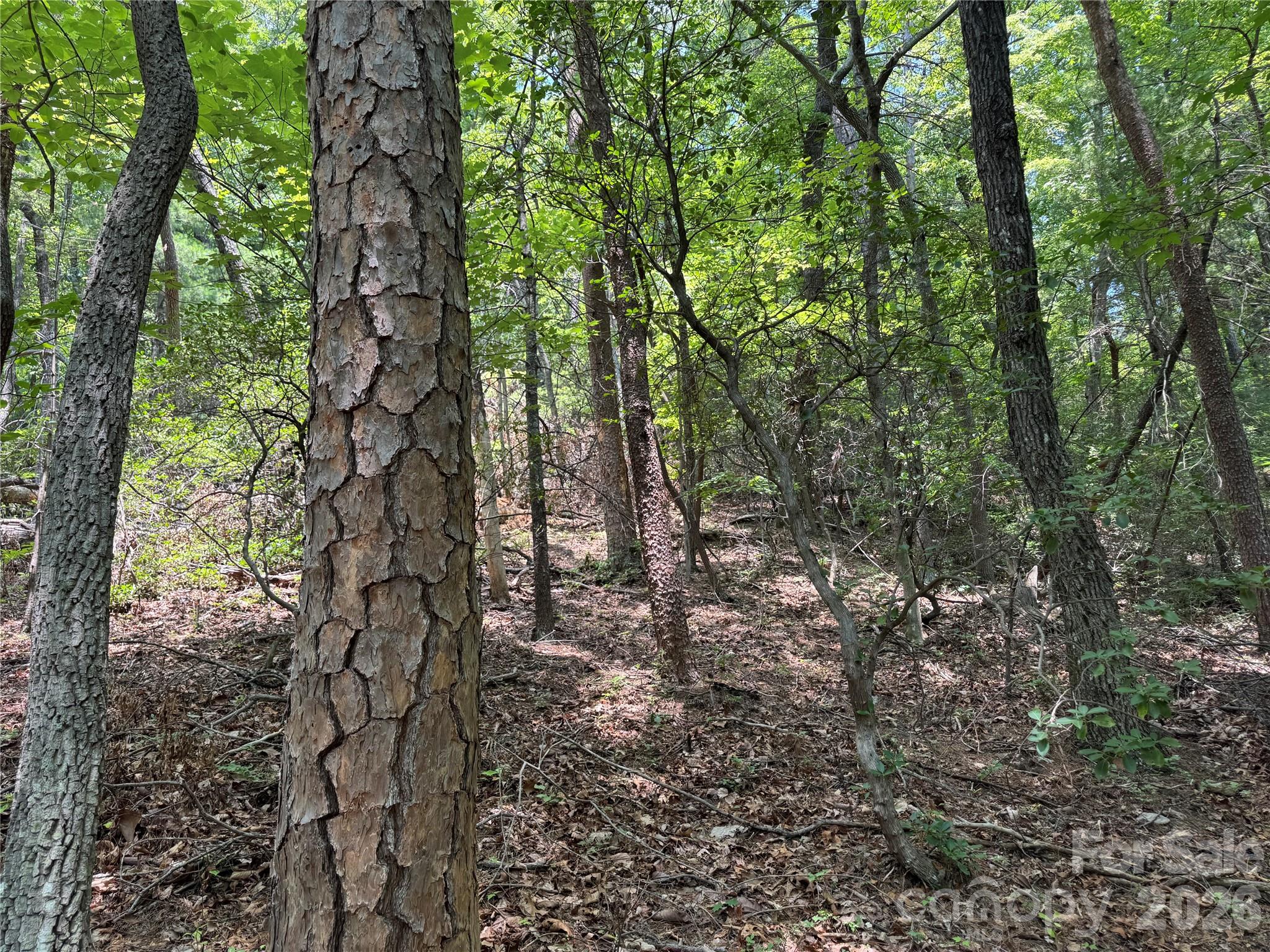 Lot at Lot 23 Bear Track Lane, Lenoir, photo 9 of 23