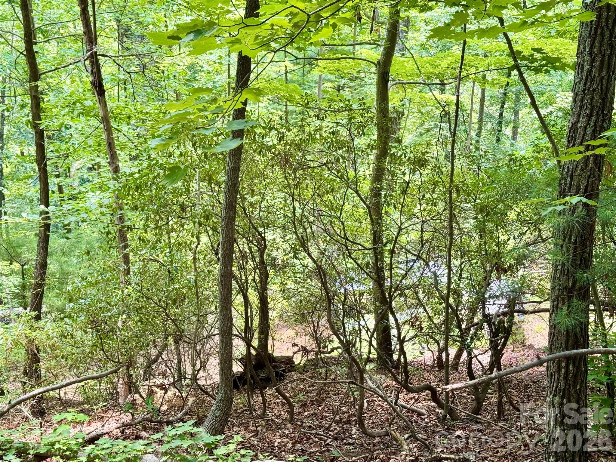 Lot at Lot 23 Bear Track Lane, Lenoir, photo 11 of 23