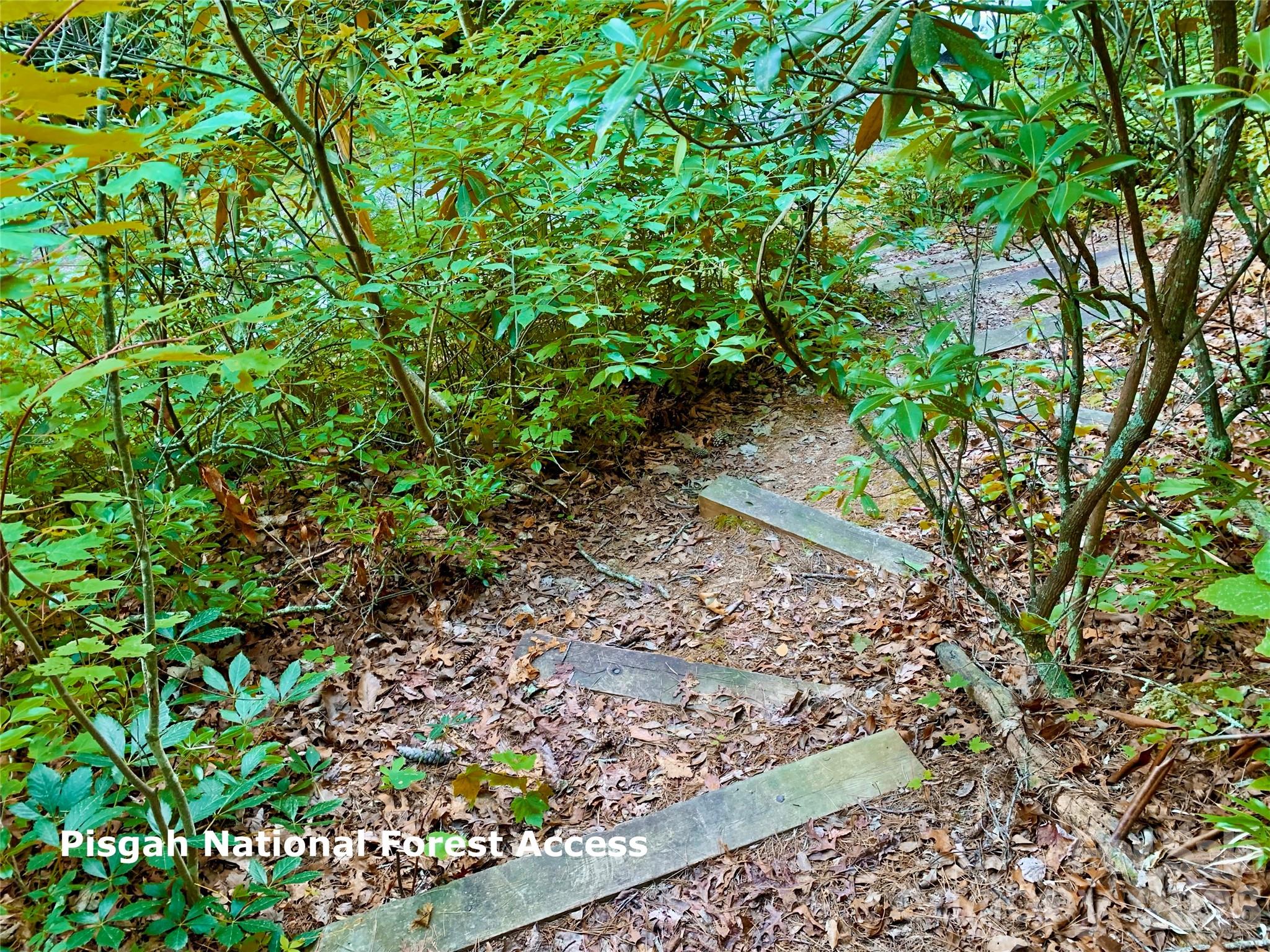 Pisgah National Forest Trail - Lot 23 Bear Track Lane, Lenoir