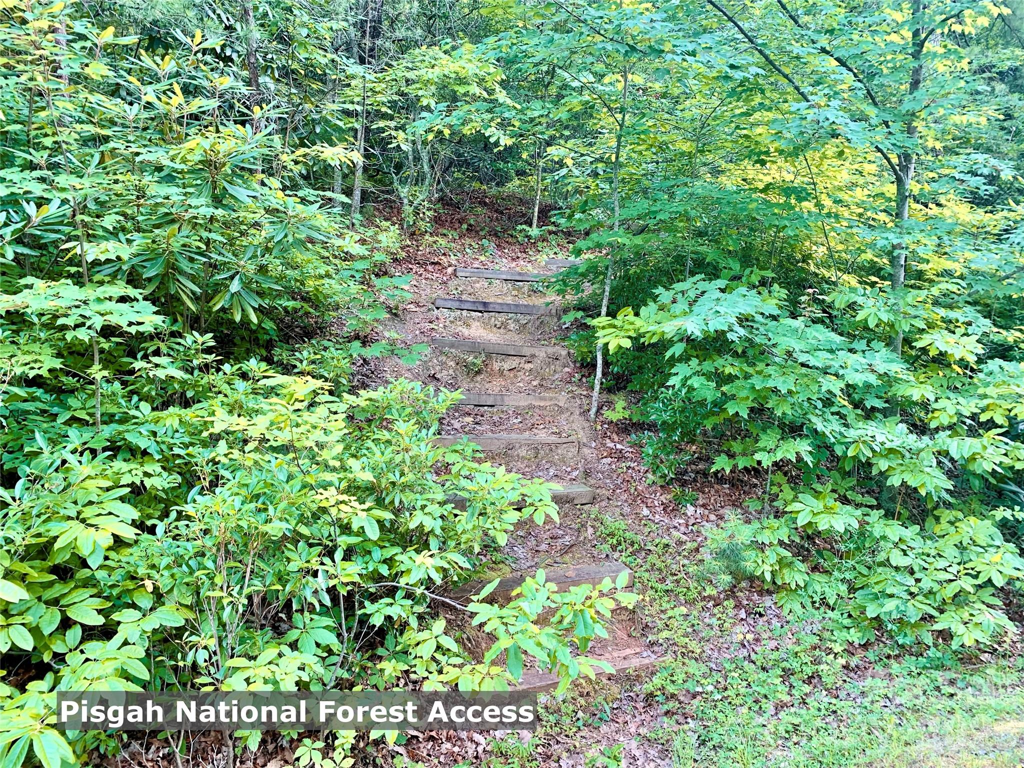Lot at Lot 23 Bear Track Lane, Lenoir, photo 17 of 23