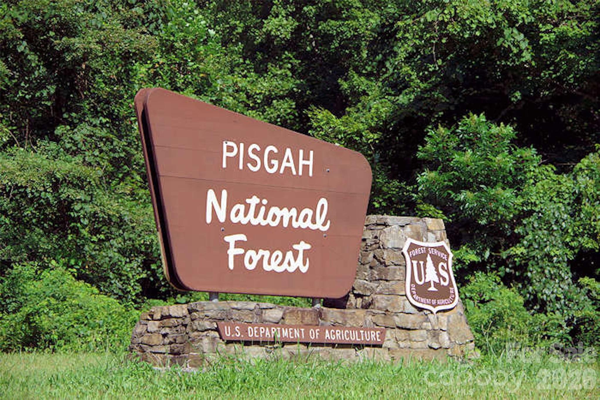 Lot 23 backs up to Pisgah National Forest - Lot 23 Bear Track Lane, Lenoir