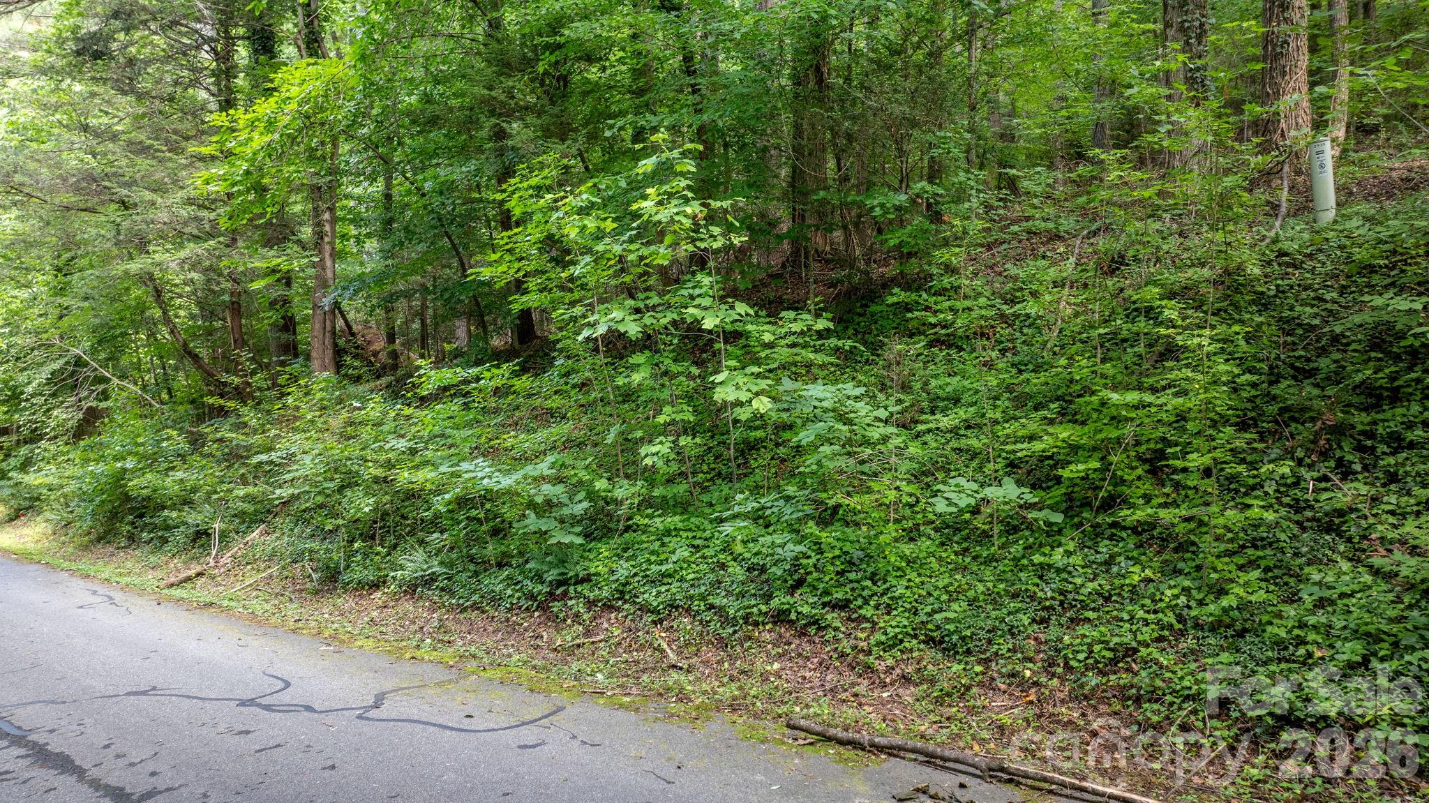 Lot at 2945 Rockwood Drive, Lenoir, photo 3 of 48