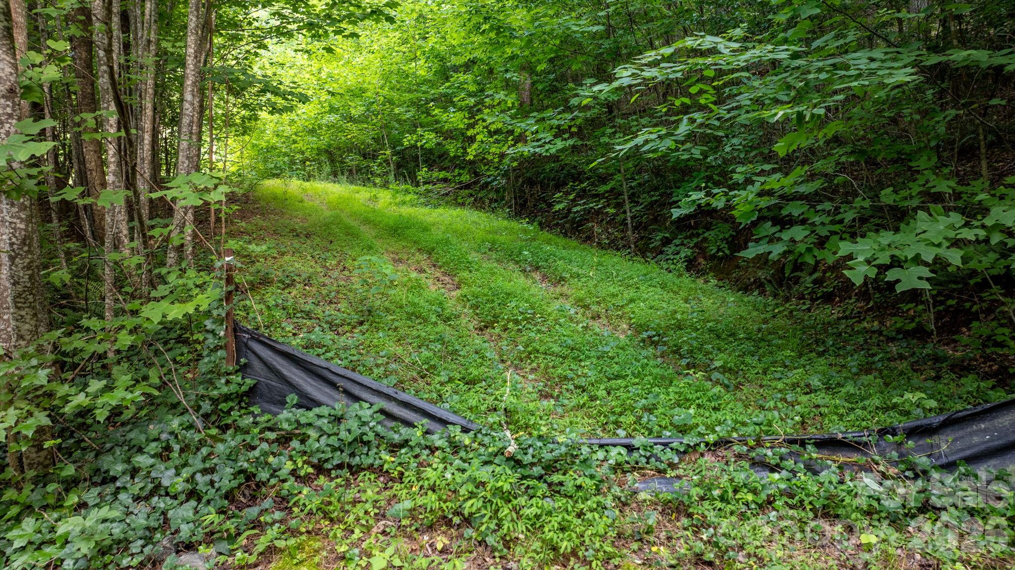 Lot at 2945 Rockwood Drive, Lenoir, photo 6 of 48