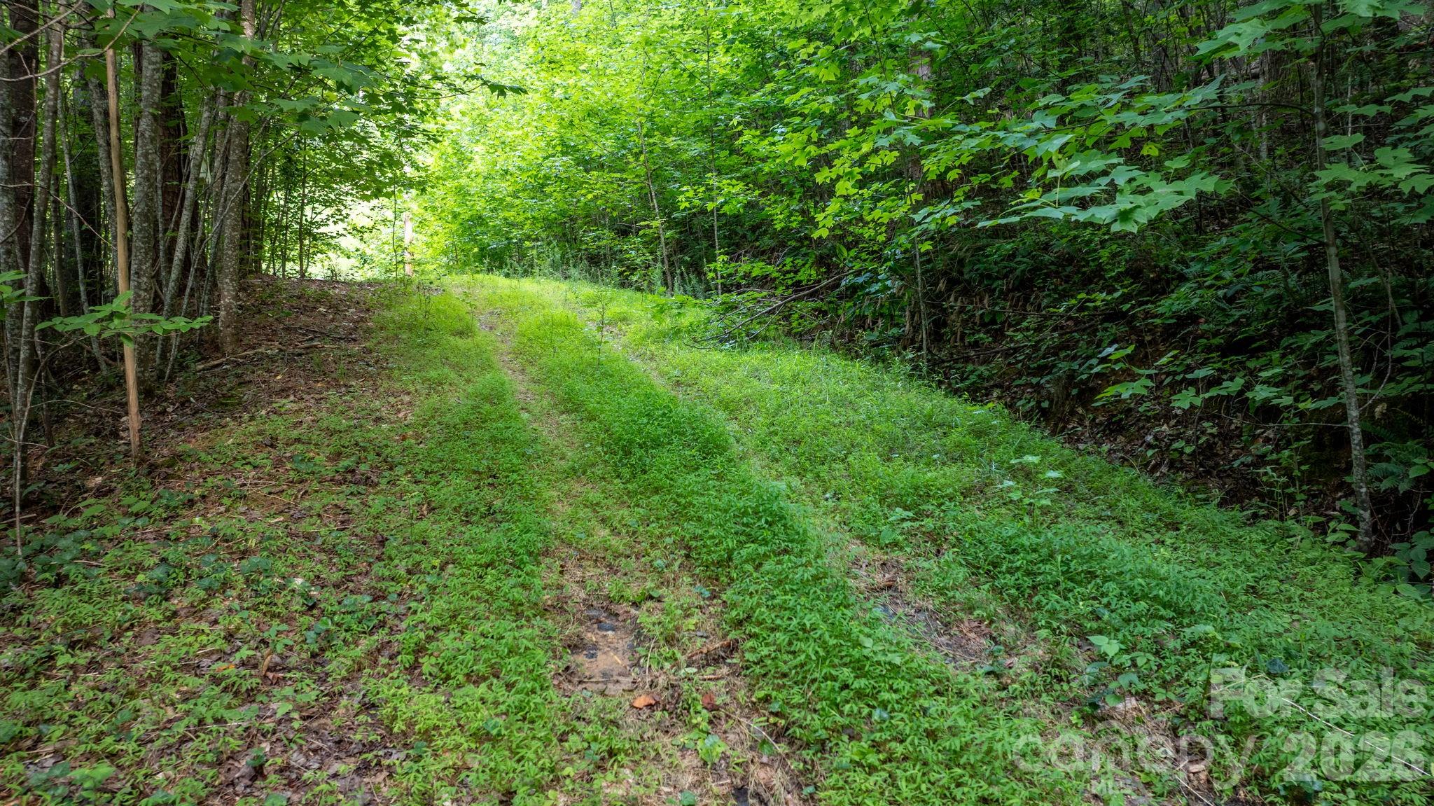 Lot at 2945 Rockwood Drive, Lenoir, photo 7 of 48