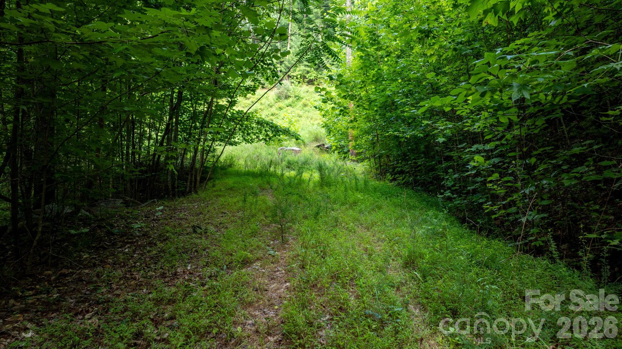 Lot at 2945 Rockwood Drive, Lenoir, photo 8 of 48