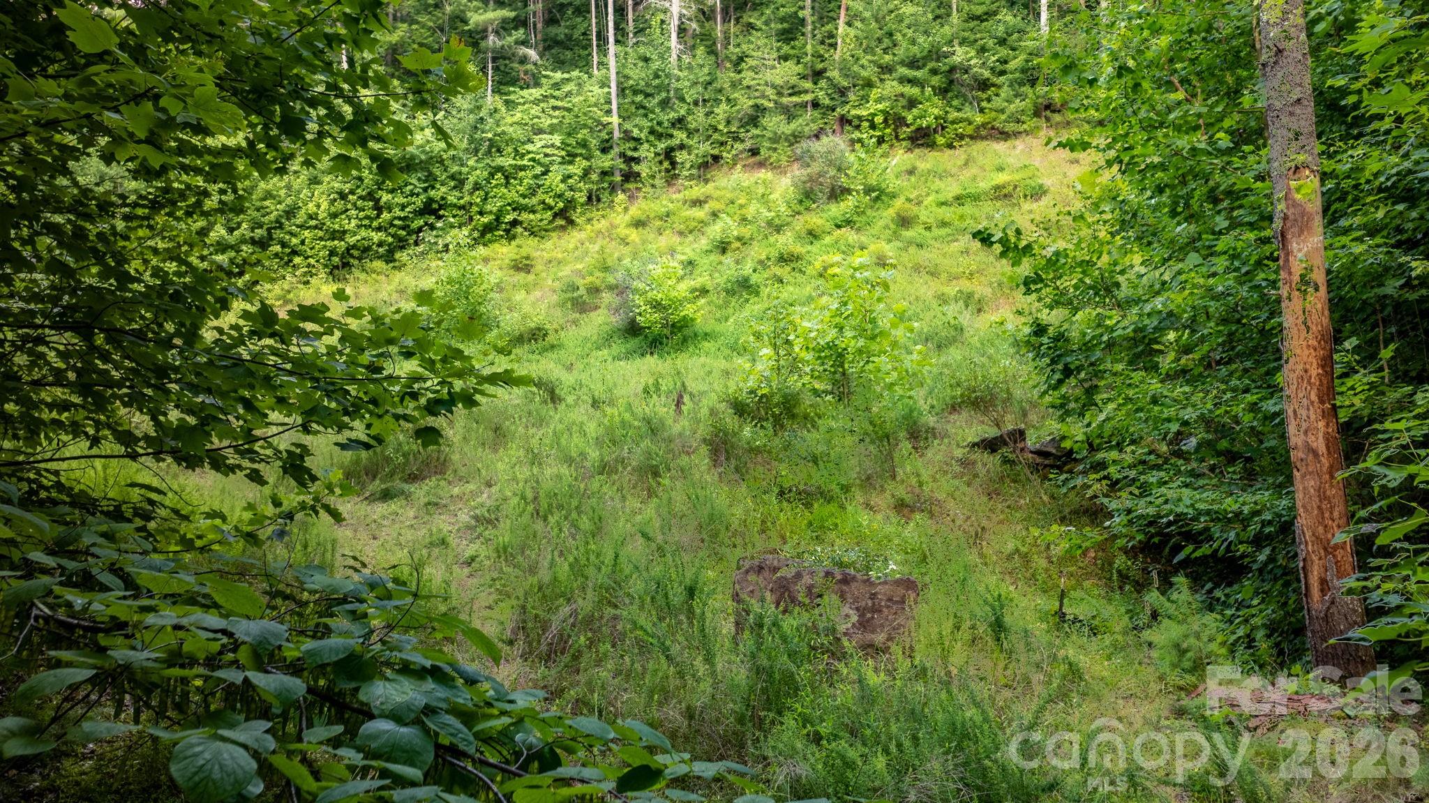 Lot at 2945 Rockwood Drive, Lenoir, photo 9 of 48