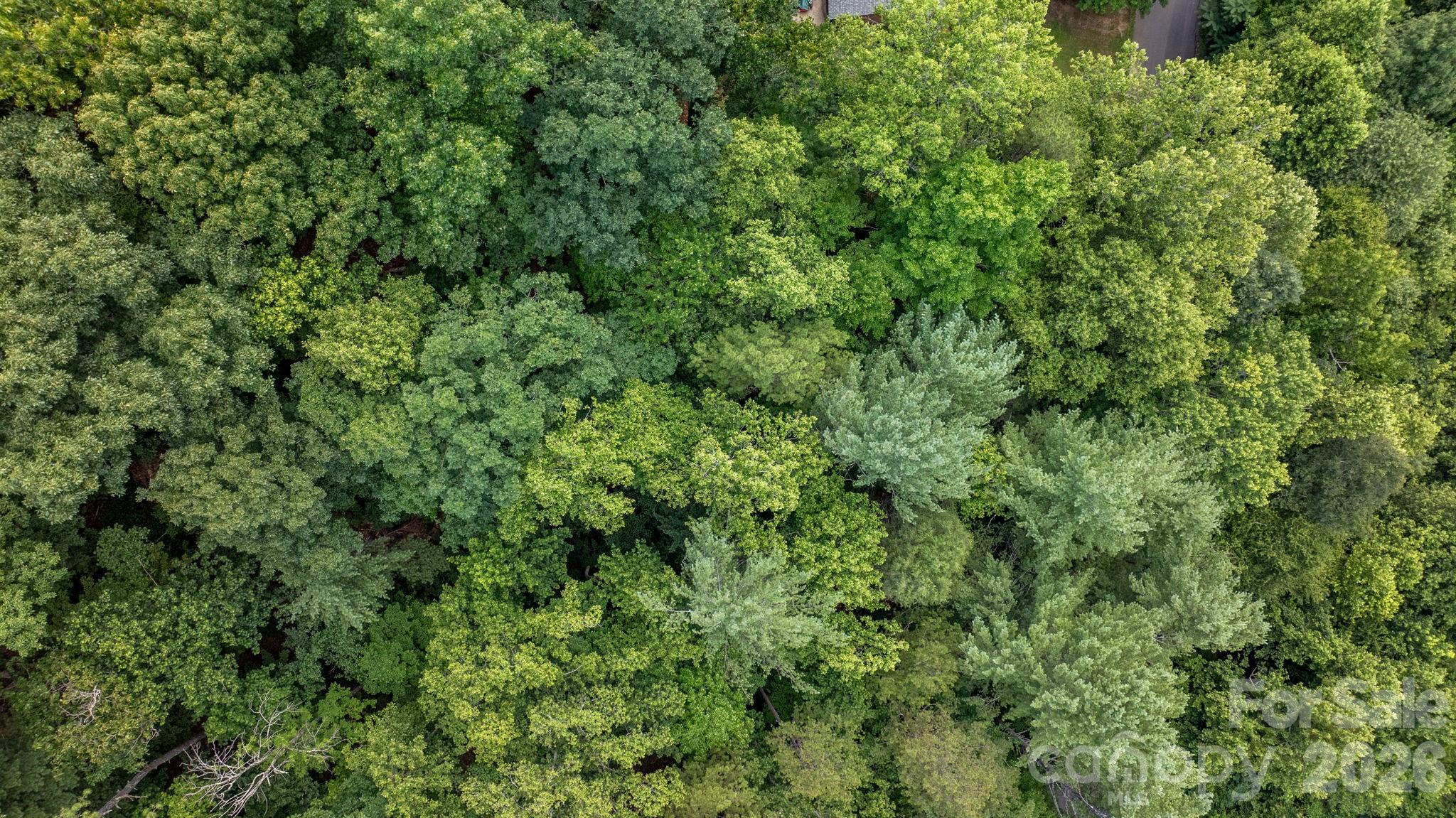 Lot at 2945 Rockwood Drive, Lenoir, photo 10 of 48