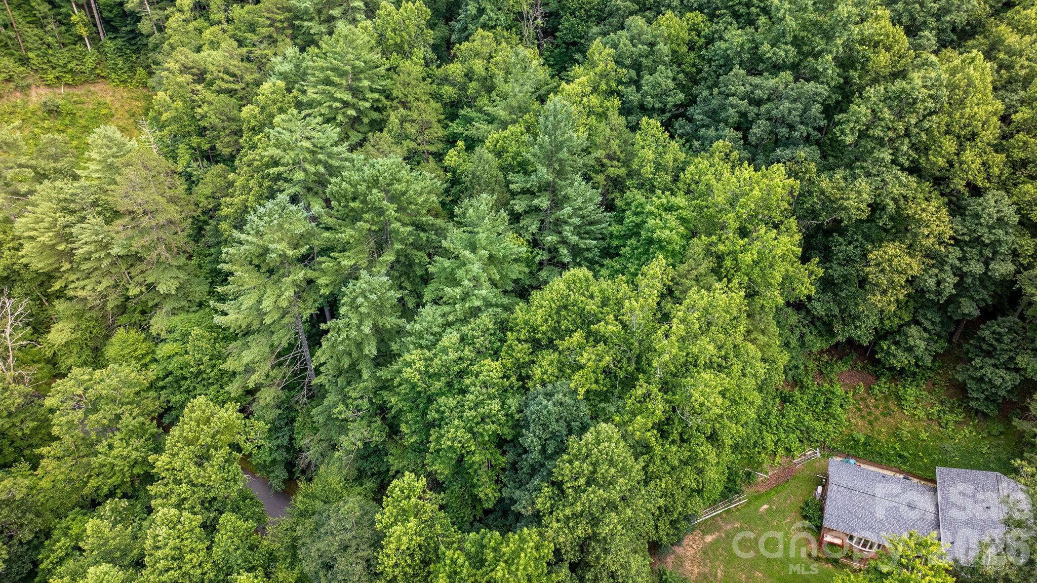 Lot at 2945 Rockwood Drive, Lenoir, photo 11 of 48