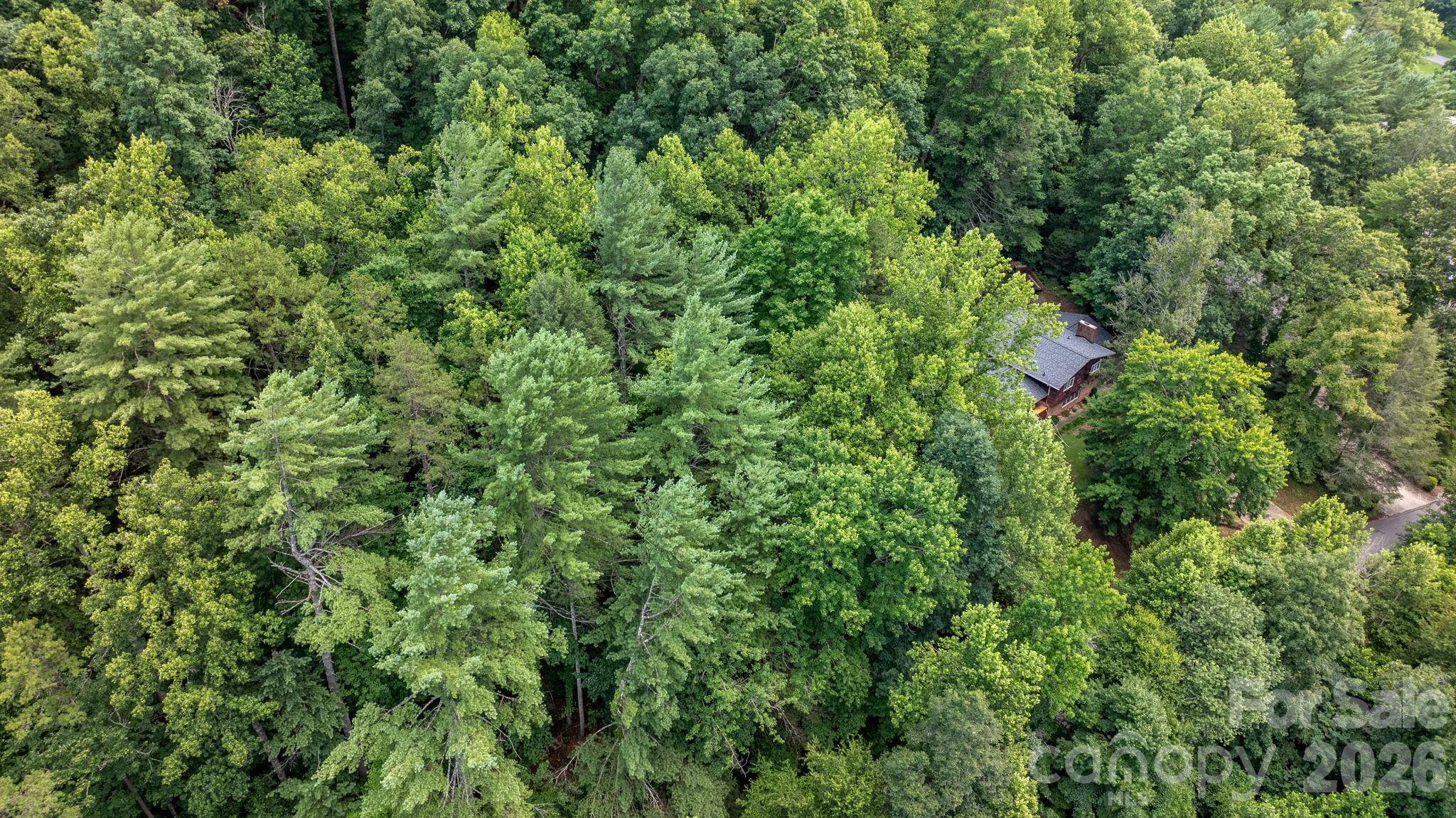 Lot at 2945 Rockwood Drive, Lenoir, photo 12 of 48