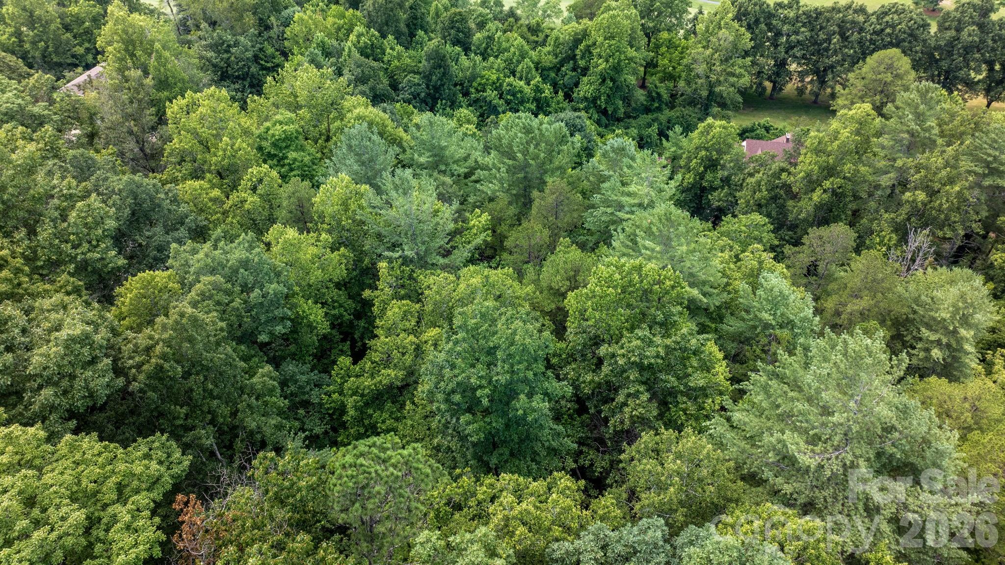 Lot at 2945 Rockwood Drive, Lenoir, photo 13 of 48