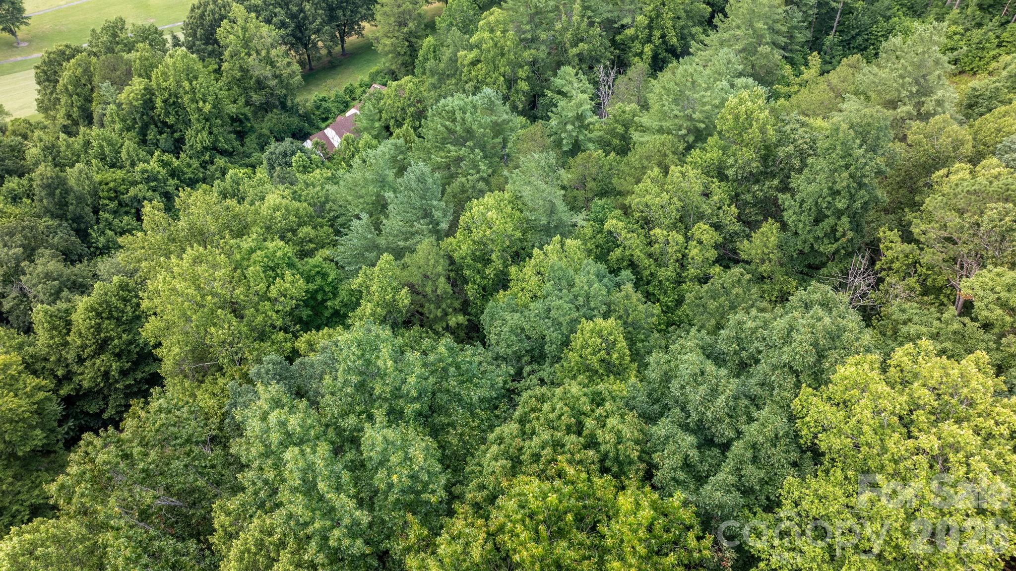 Lot at 2945 Rockwood Drive, Lenoir, photo 14 of 48