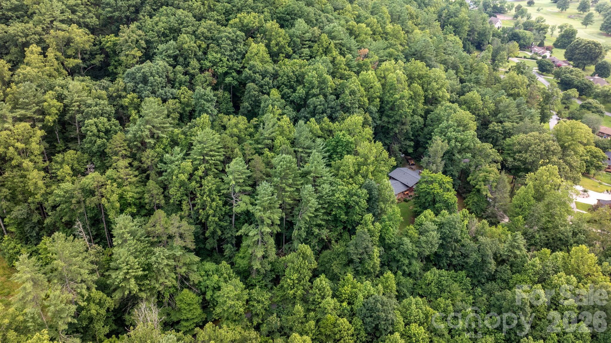 Lot at 2945 Rockwood Drive, Lenoir, photo 17 of 48