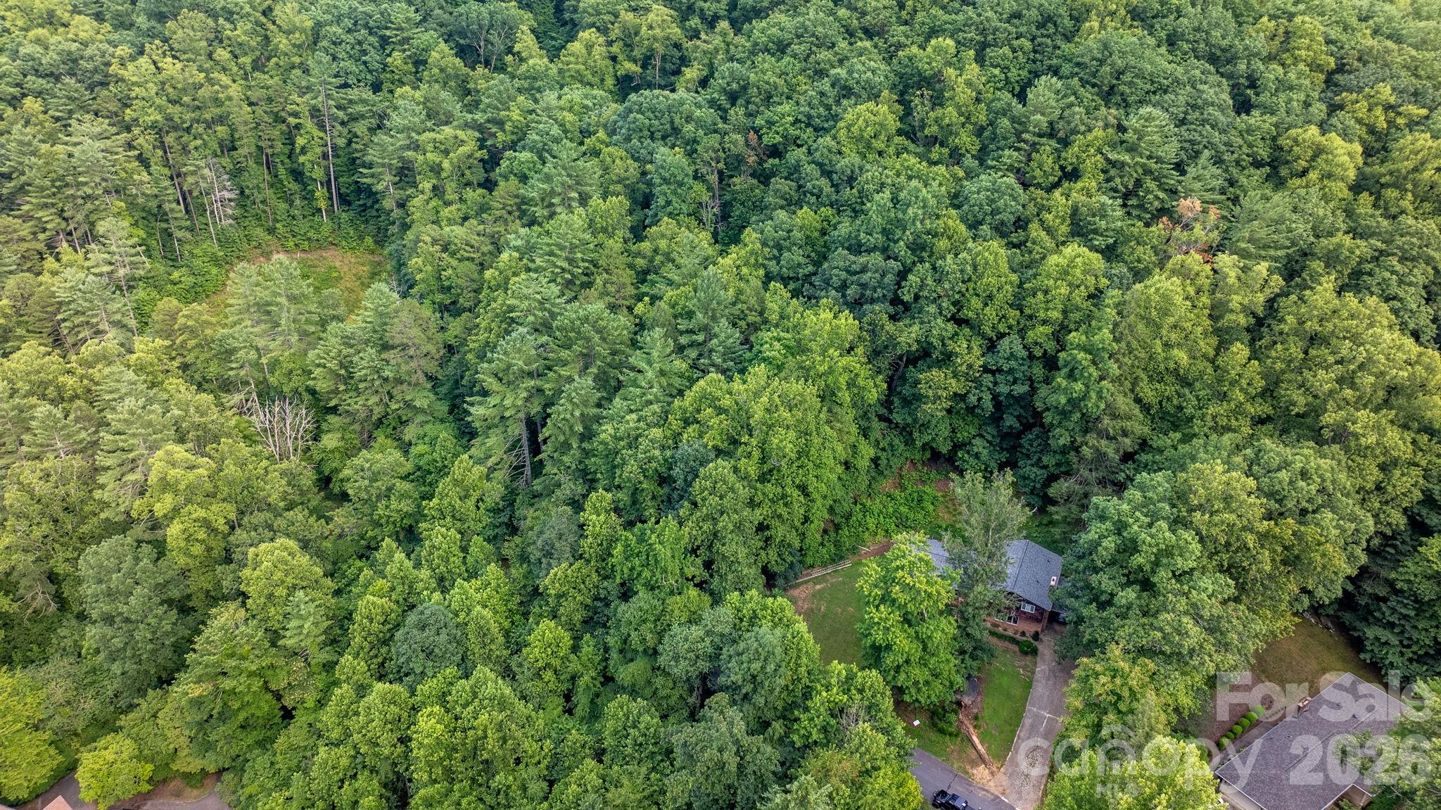 Lot at 2945 Rockwood Drive, Lenoir, photo 18 of 48