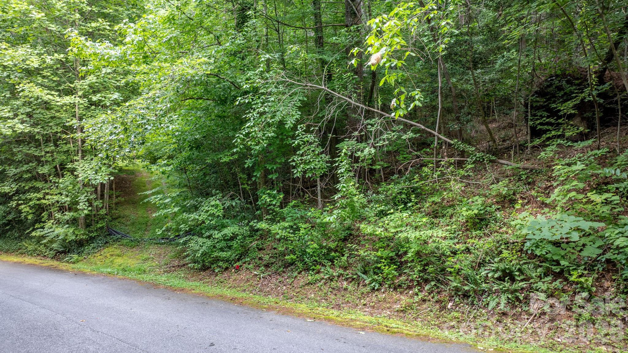 Lot at 2945 Rockwood Drive, Lenoir, photo 19 of 48